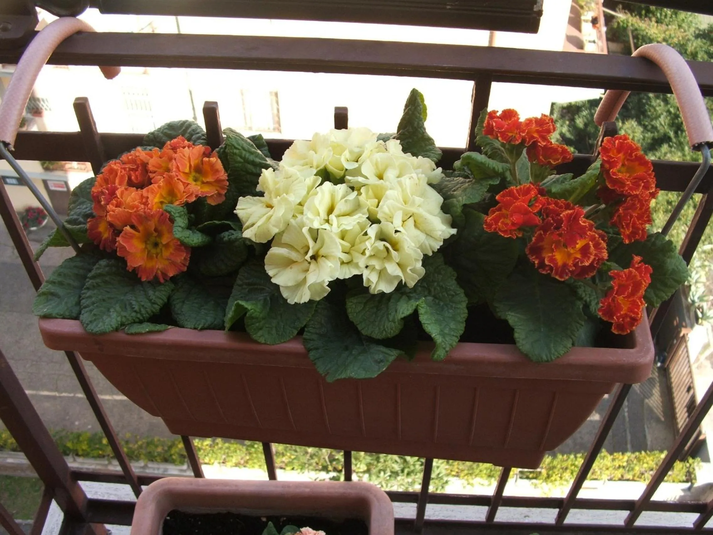 Decorative detail in B&B La Cubanina