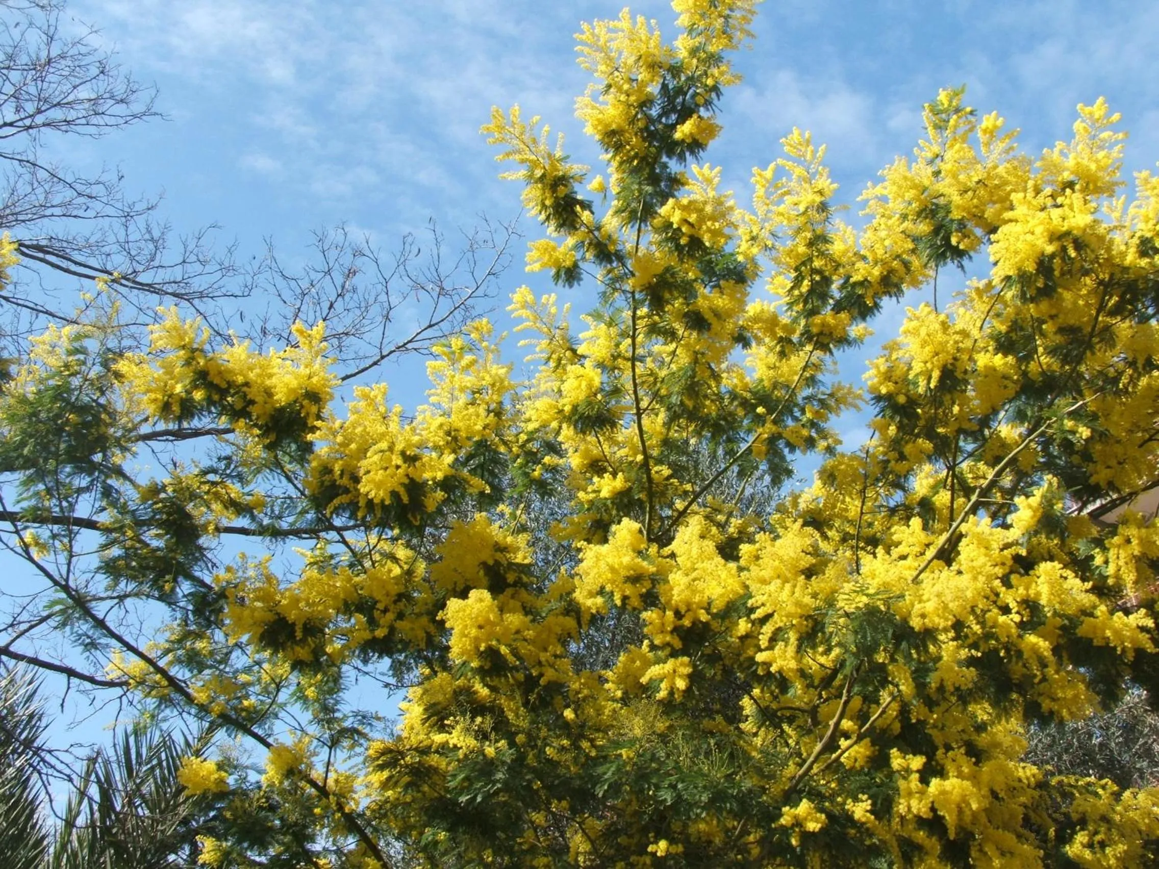 Decorative detail in B&B La Cubanina