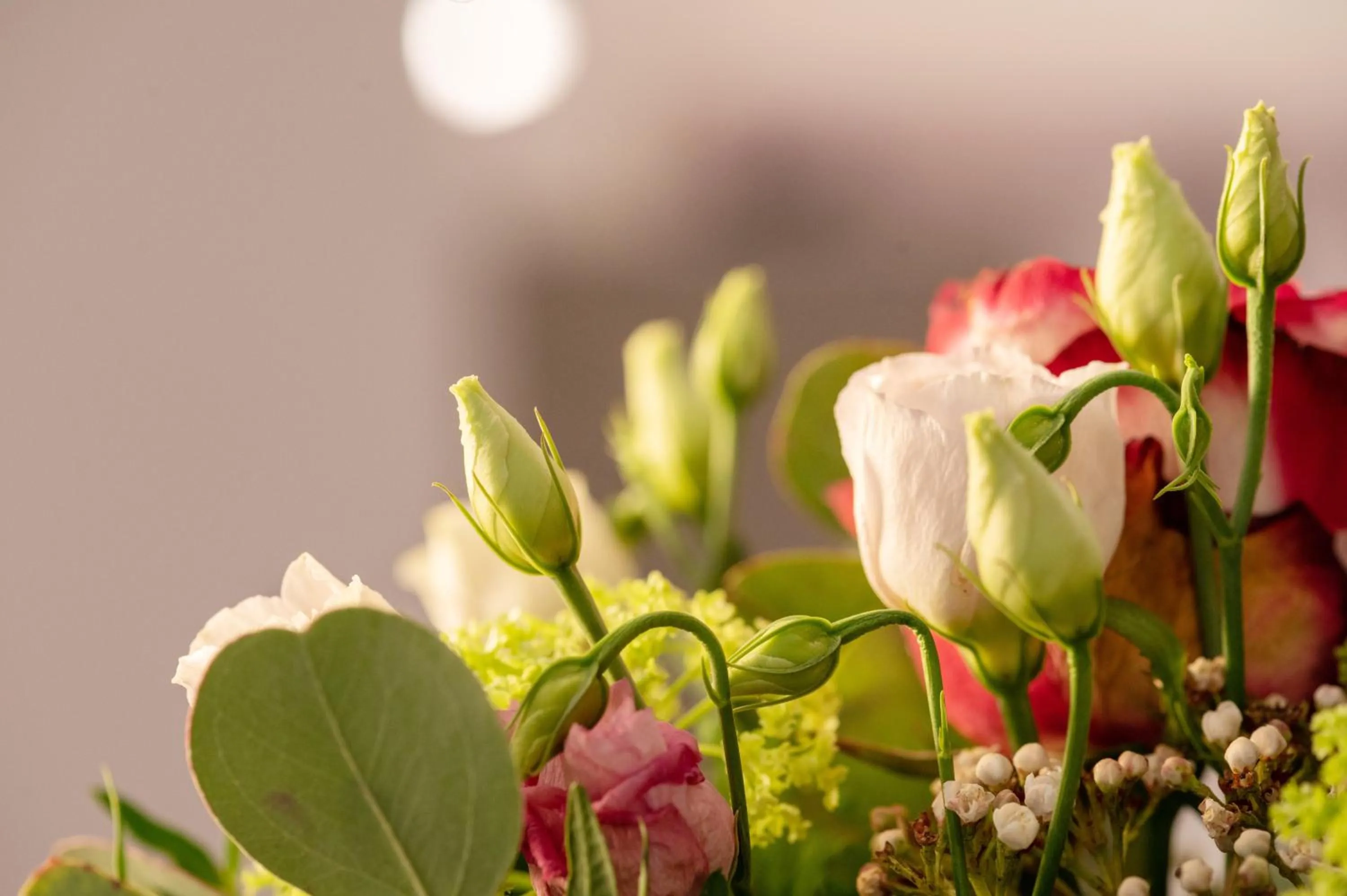 Breakfast in Boutique Hotel Frieden