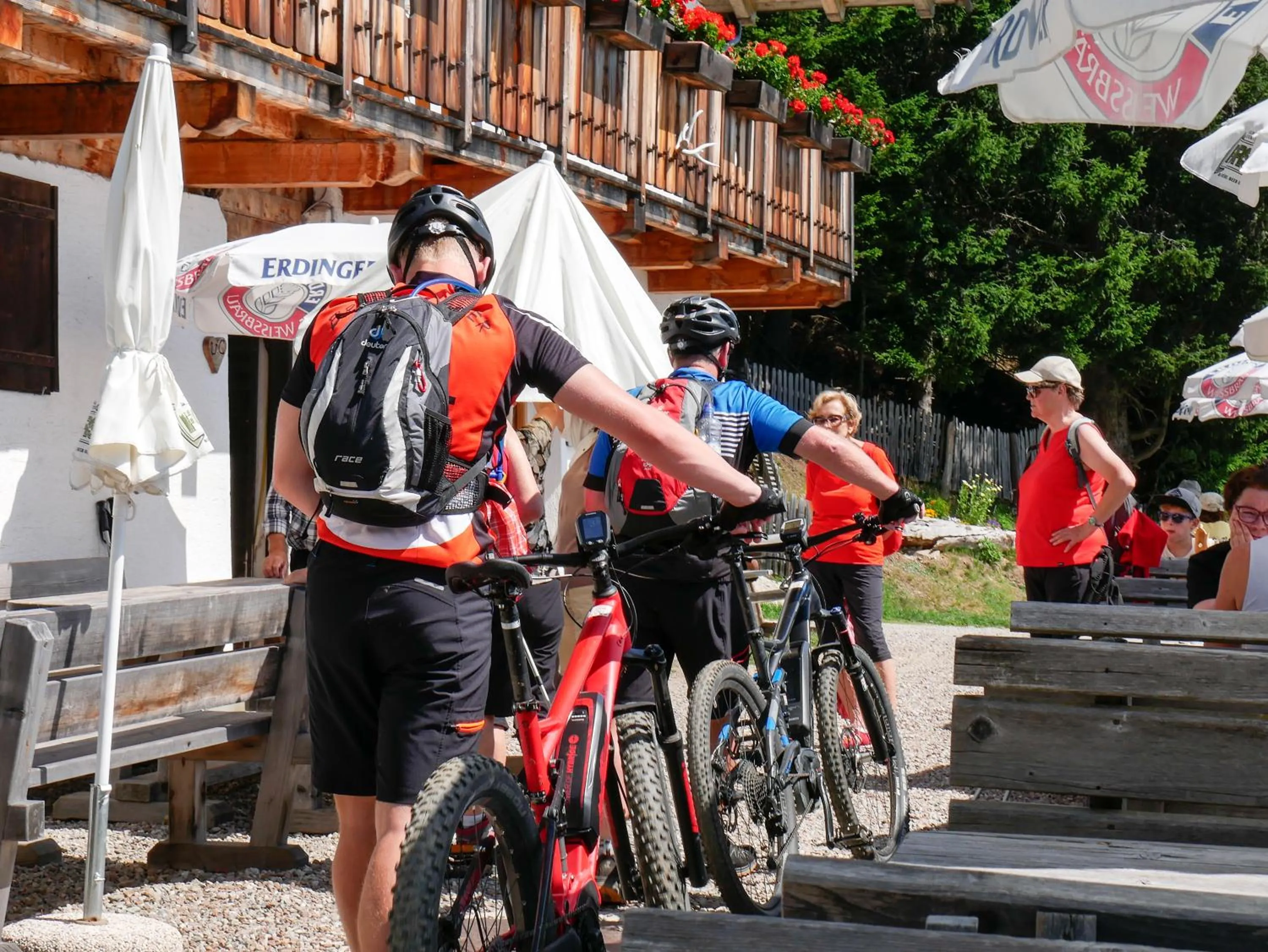 Summer in Kröllnerhof