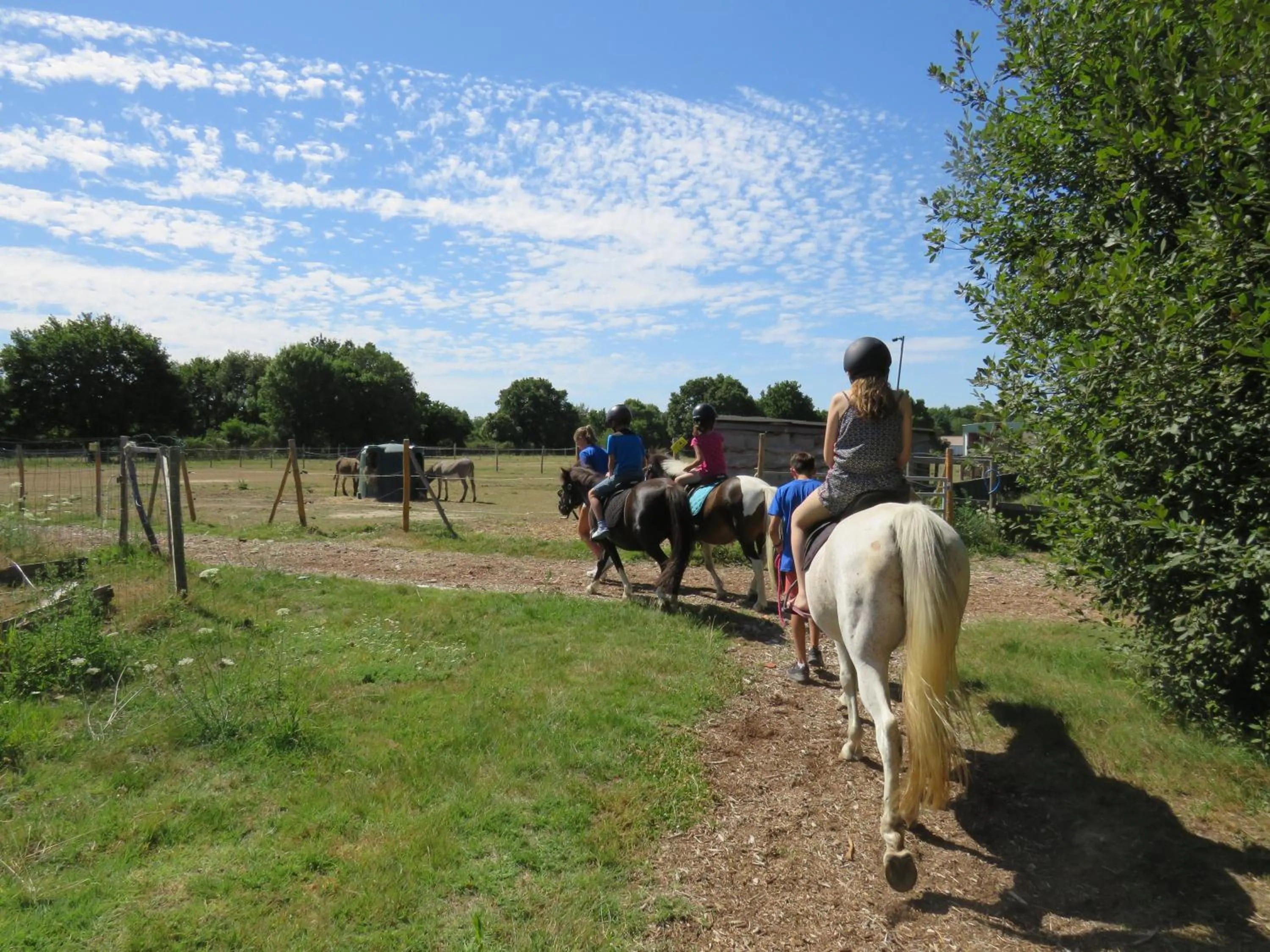 Horse-riding in Camping Les P'tites Maisons dans la Prairie