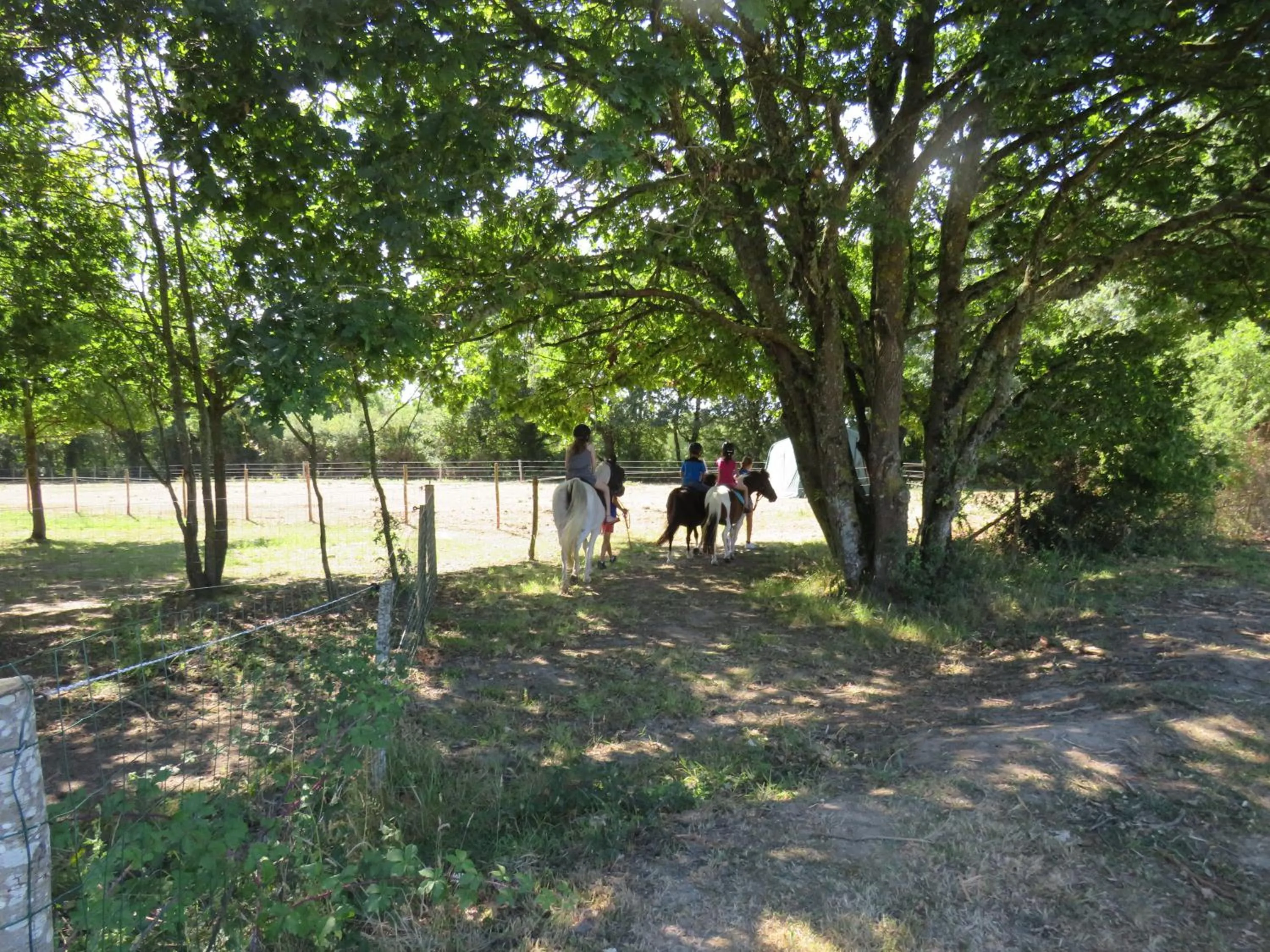 Horse-riding in Camping Les P'tites Maisons dans la Prairie