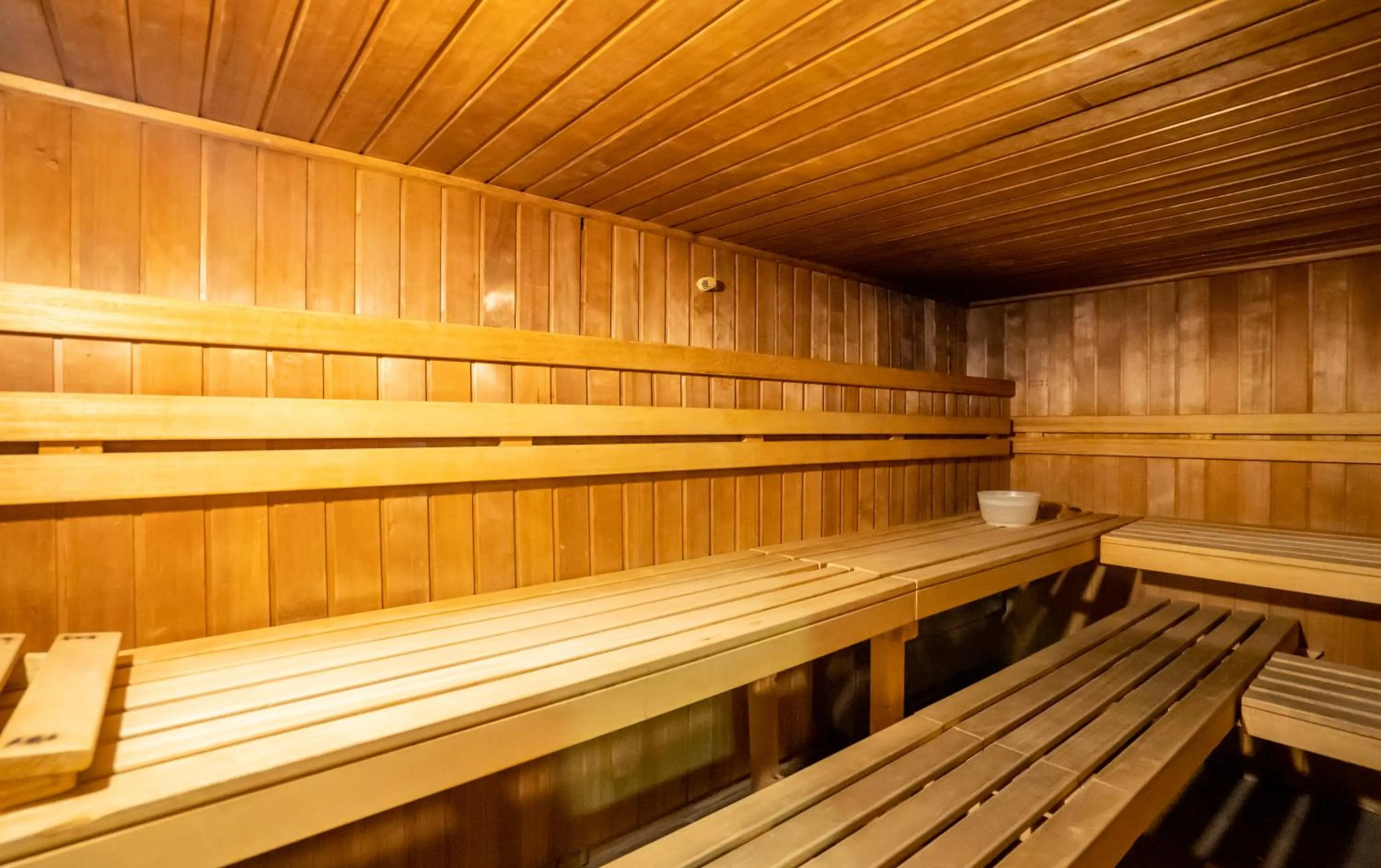 Sauna in Abba Ordino Babot Hotel