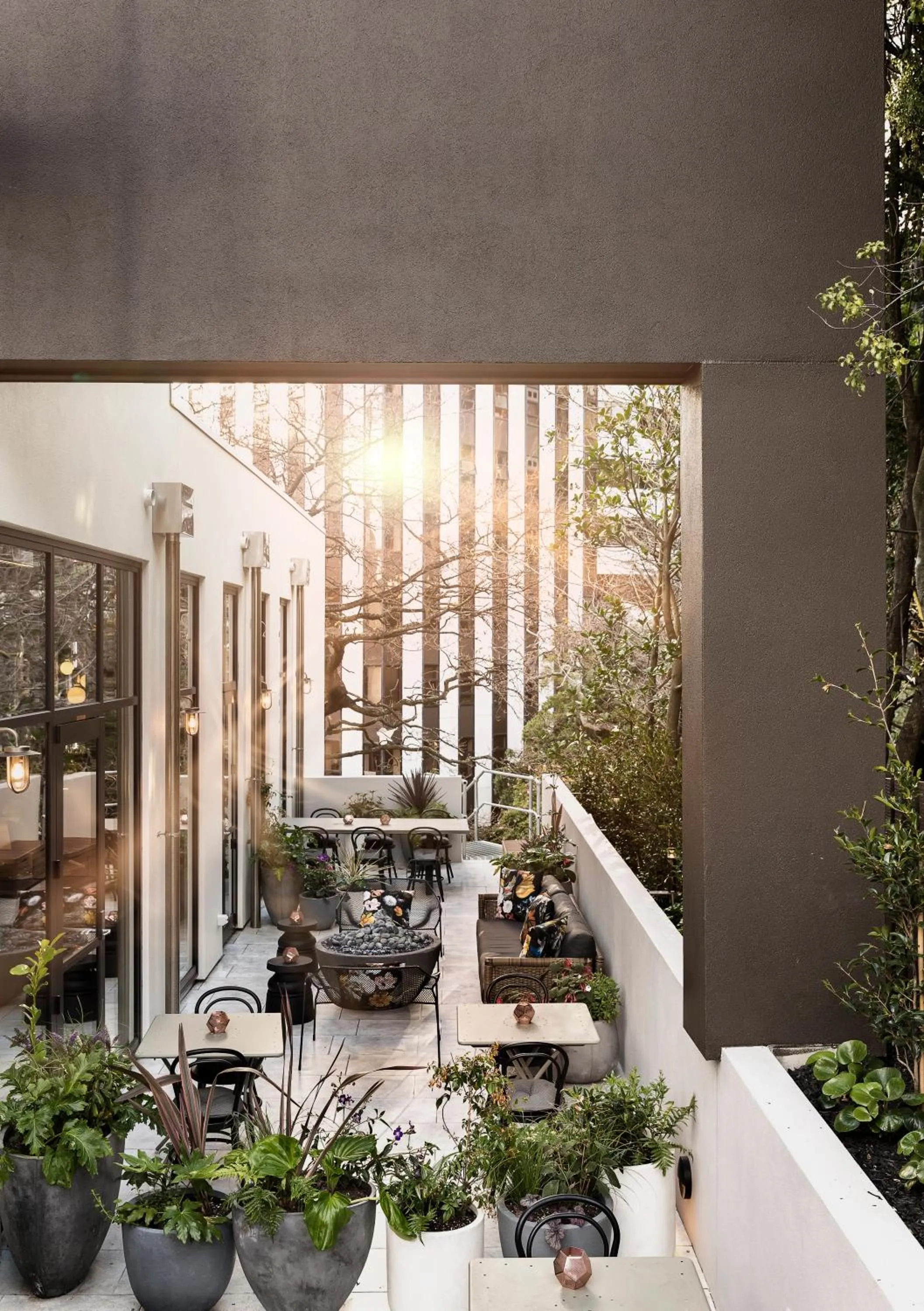 Patio in Sofitel Wellington