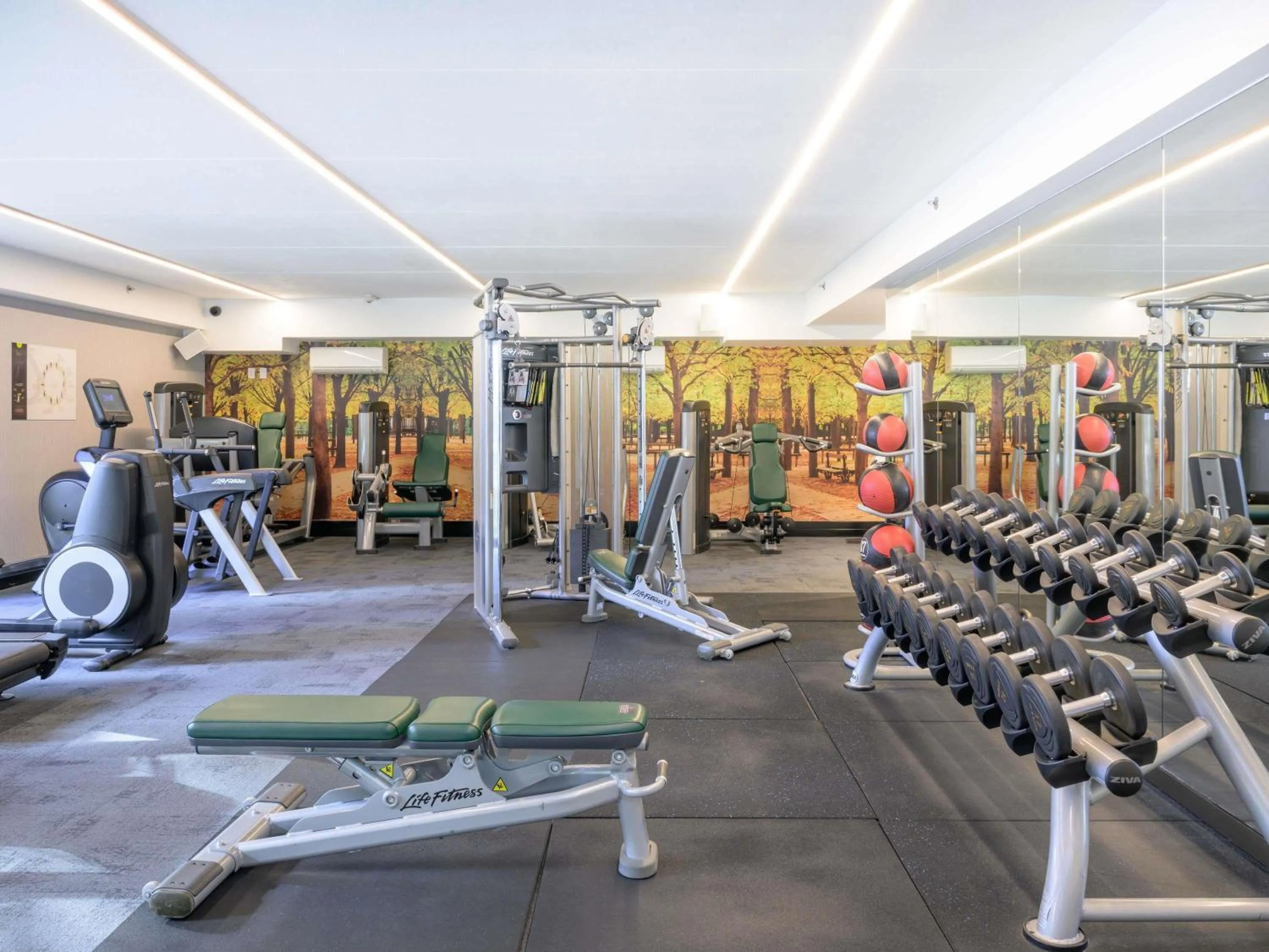 Fitness centre/facilities in Sofitel Wellington