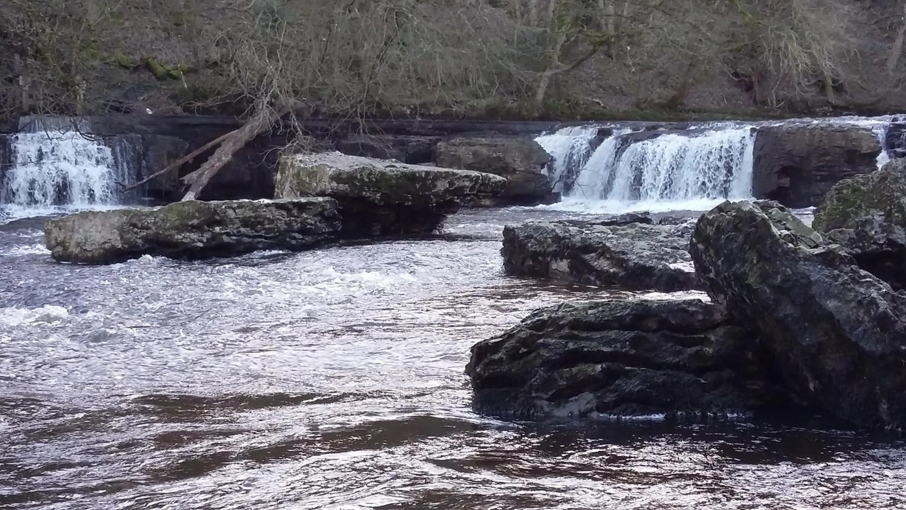 Natural landscape in Willance House Guest House