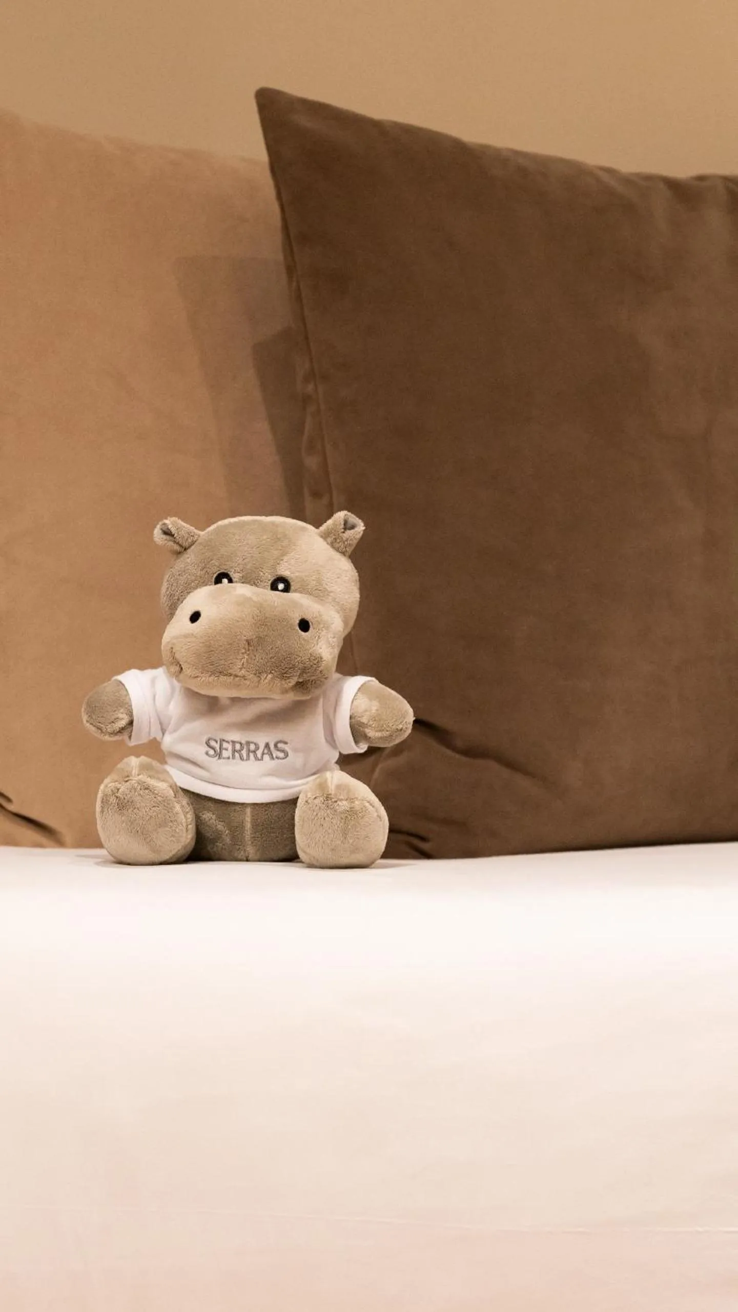 Decorative detail in Serras Andorra