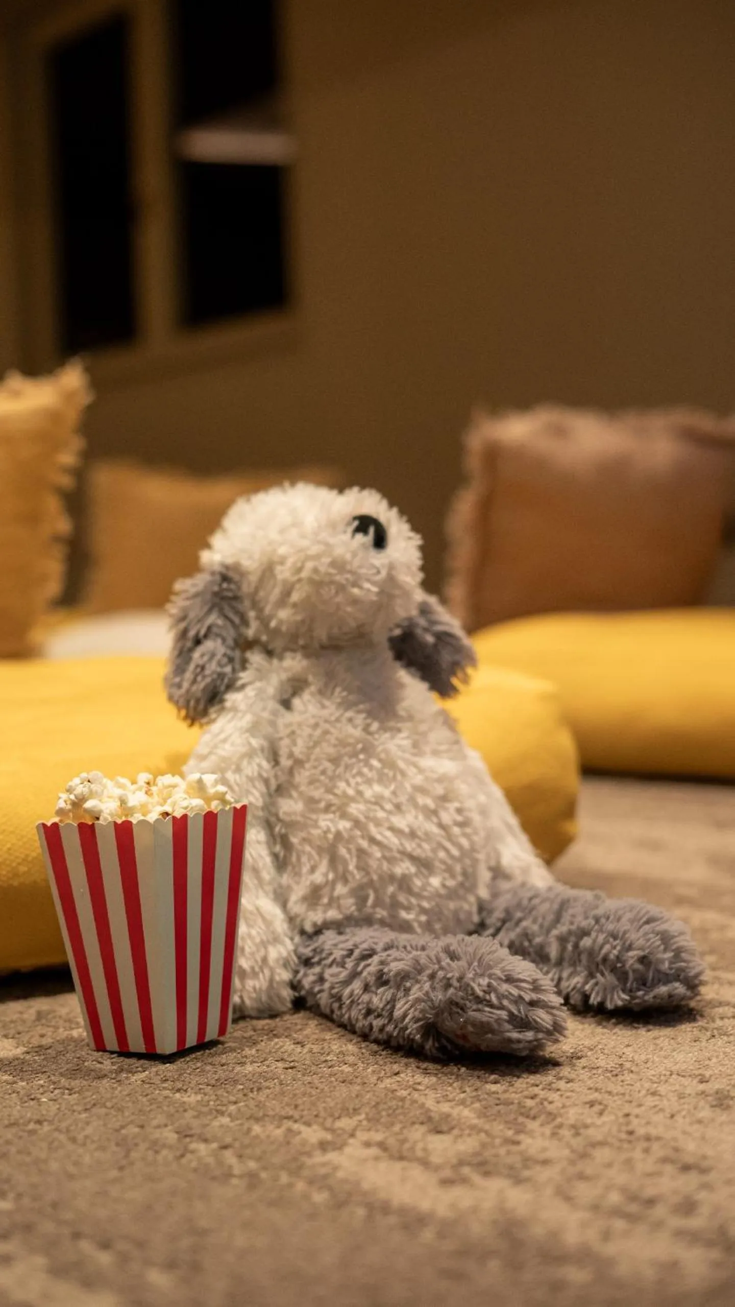 Kids's club in Serras Andorra