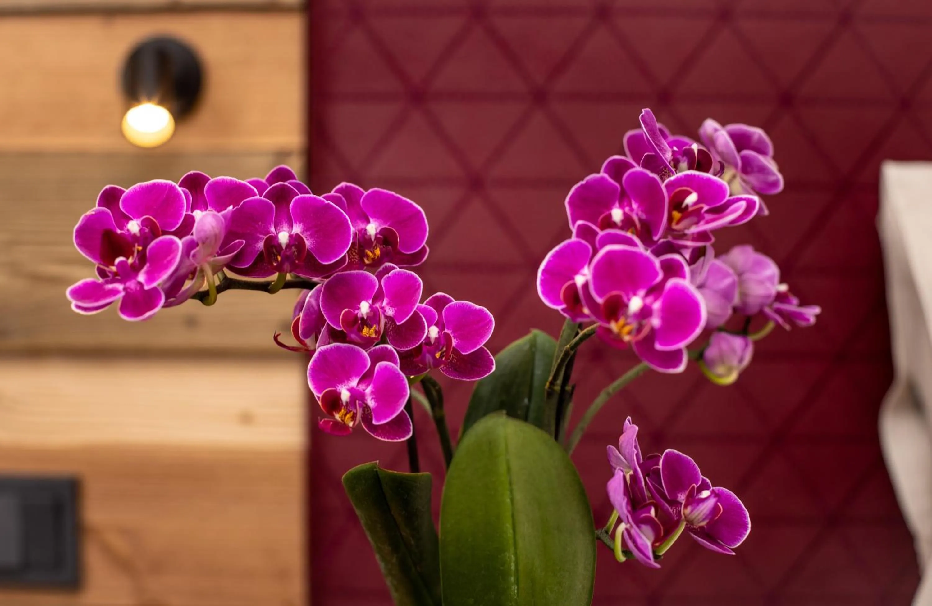 Photo of the whole room in Arcus Hotel München Messe