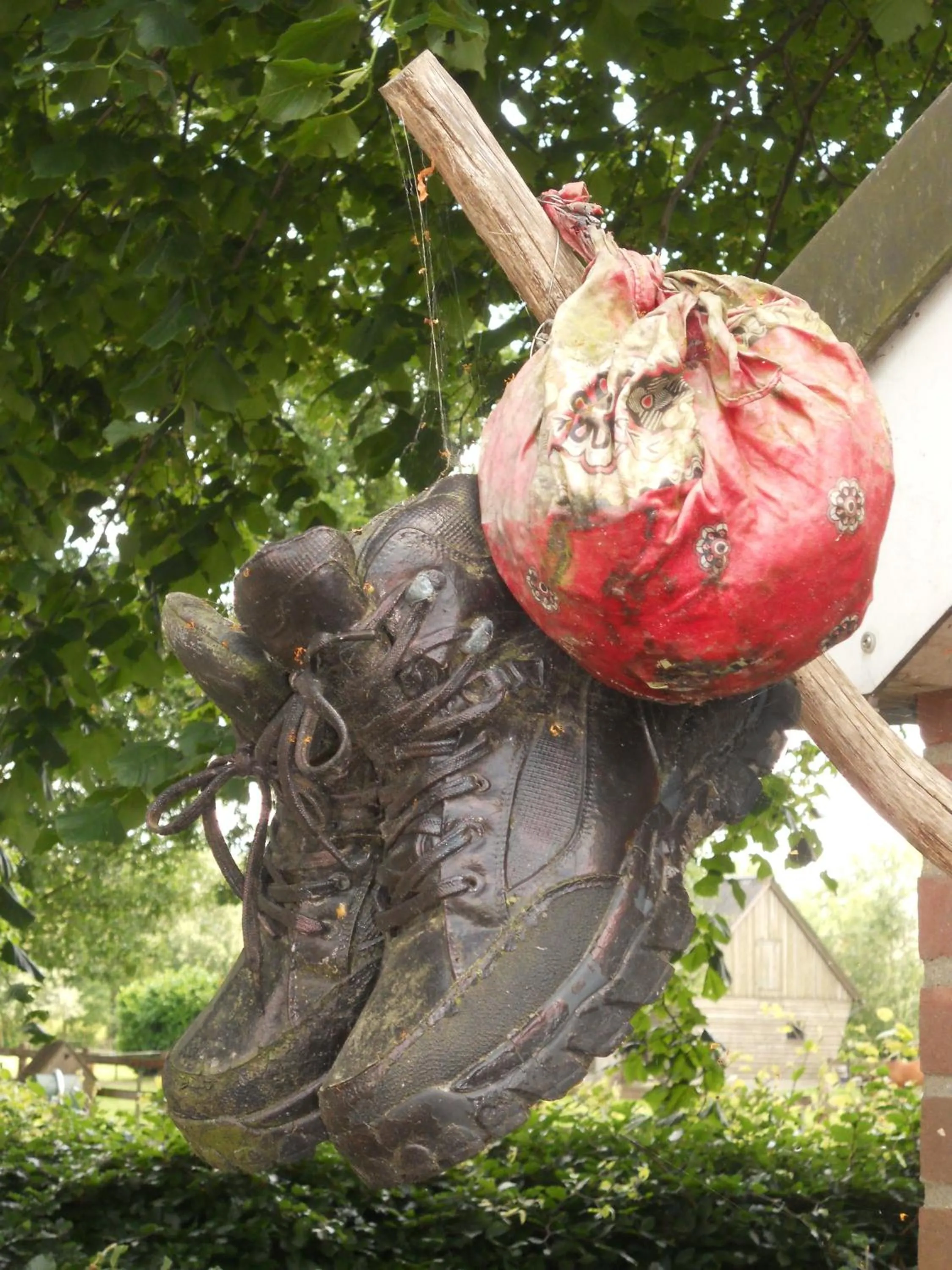 Activities in Gezond Boeren Verstand