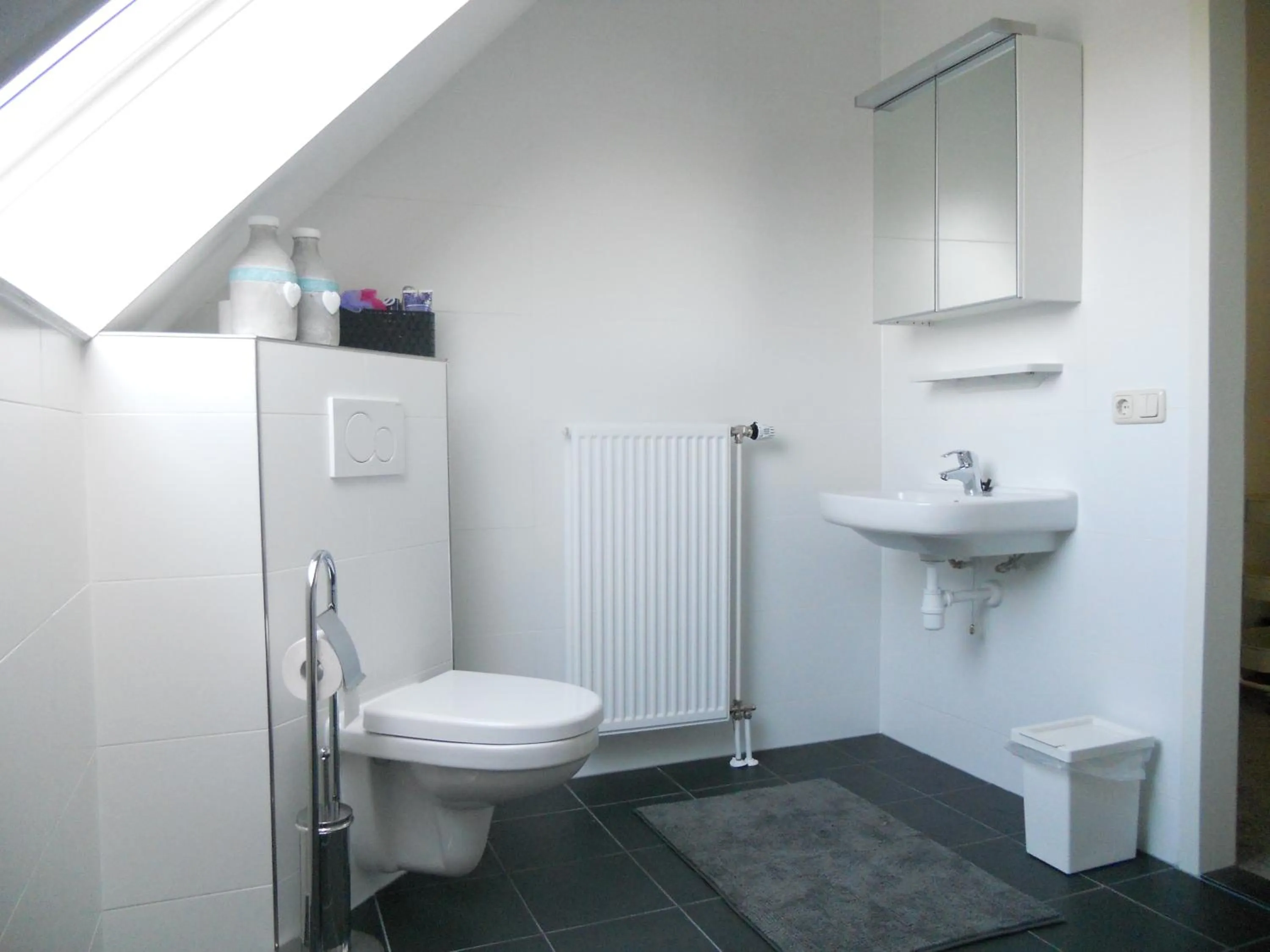 Toilet in Gezond Boeren Verstand