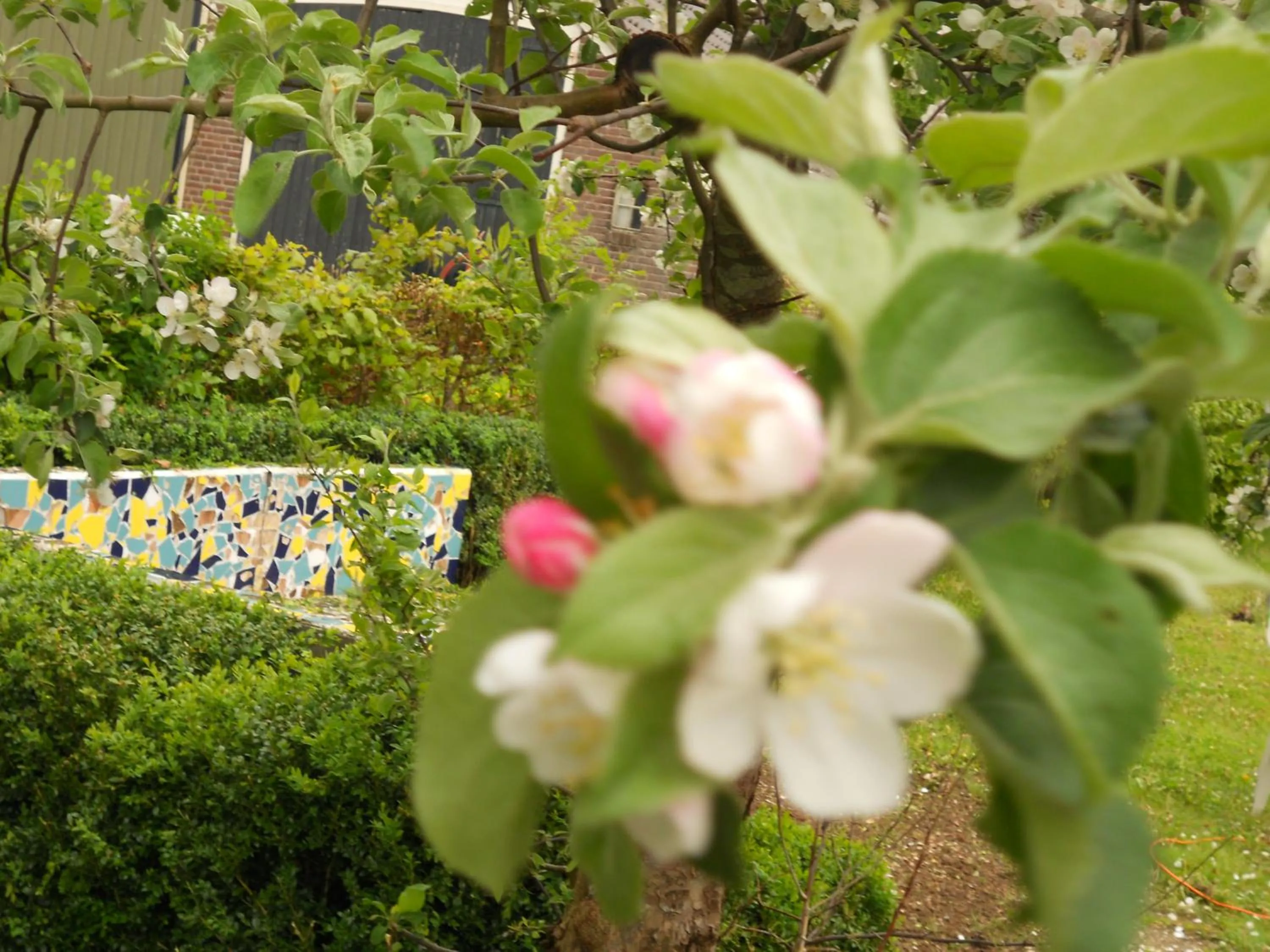 Garden in Gezond Boeren Verstand