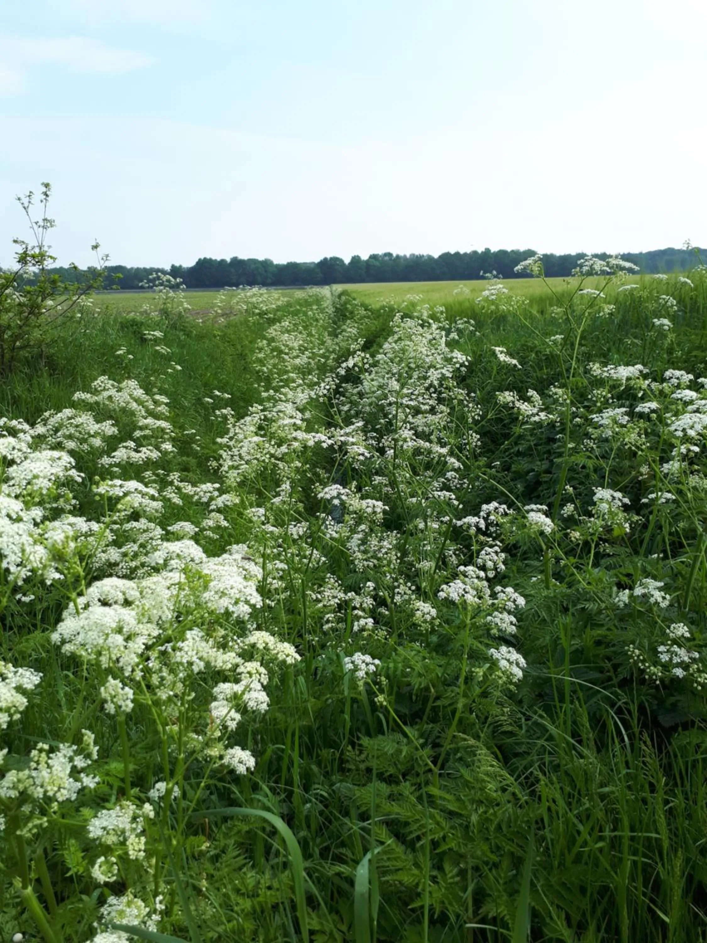 Natural landscape in Gezond Boeren Verstand