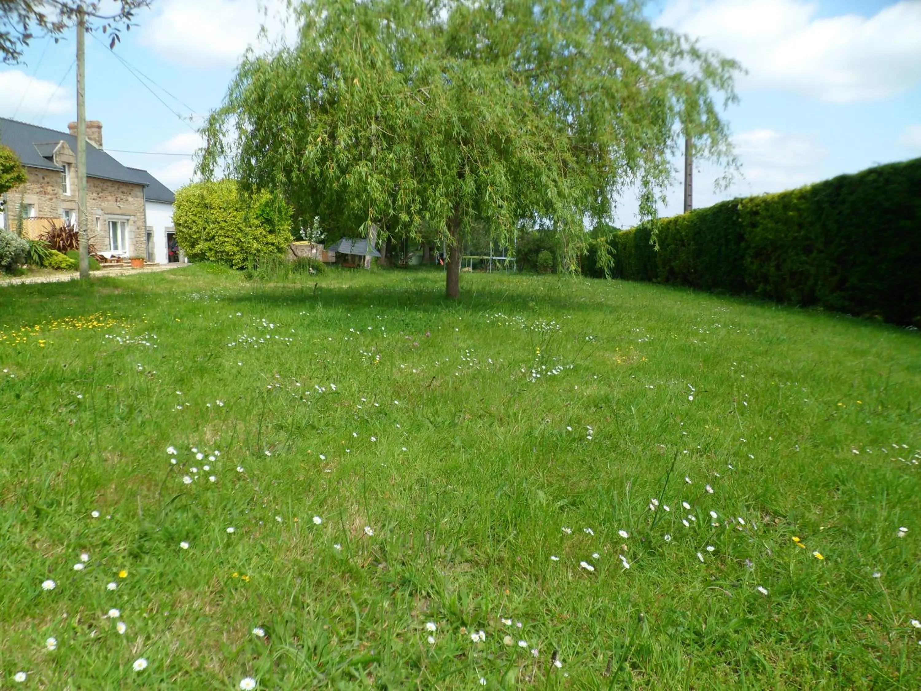 Garden in Farmhouse in an amazing private park