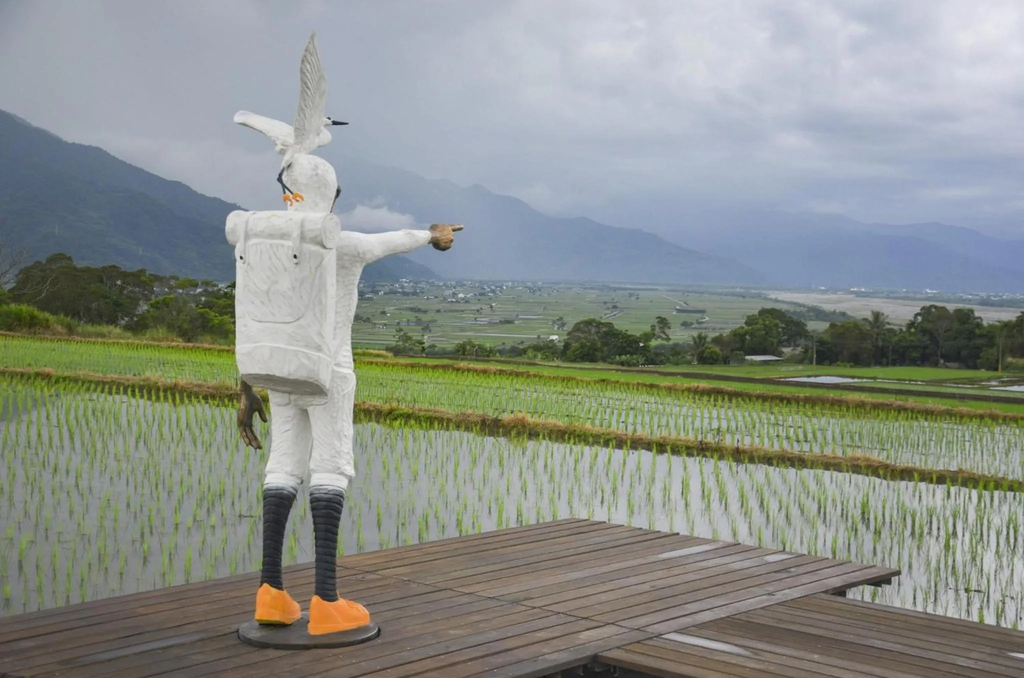 Natural landscape in Success 66 B&B