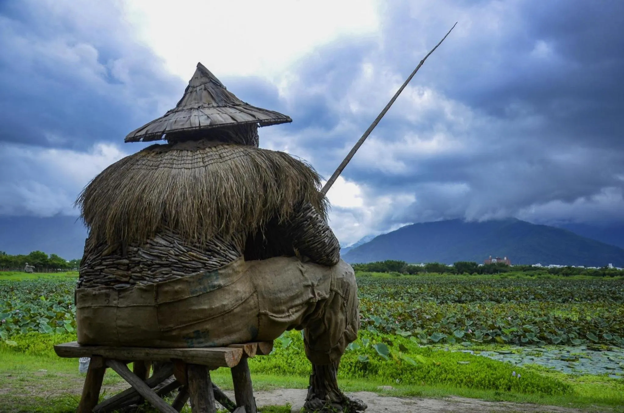 Natural landscape in Success 66 B&B