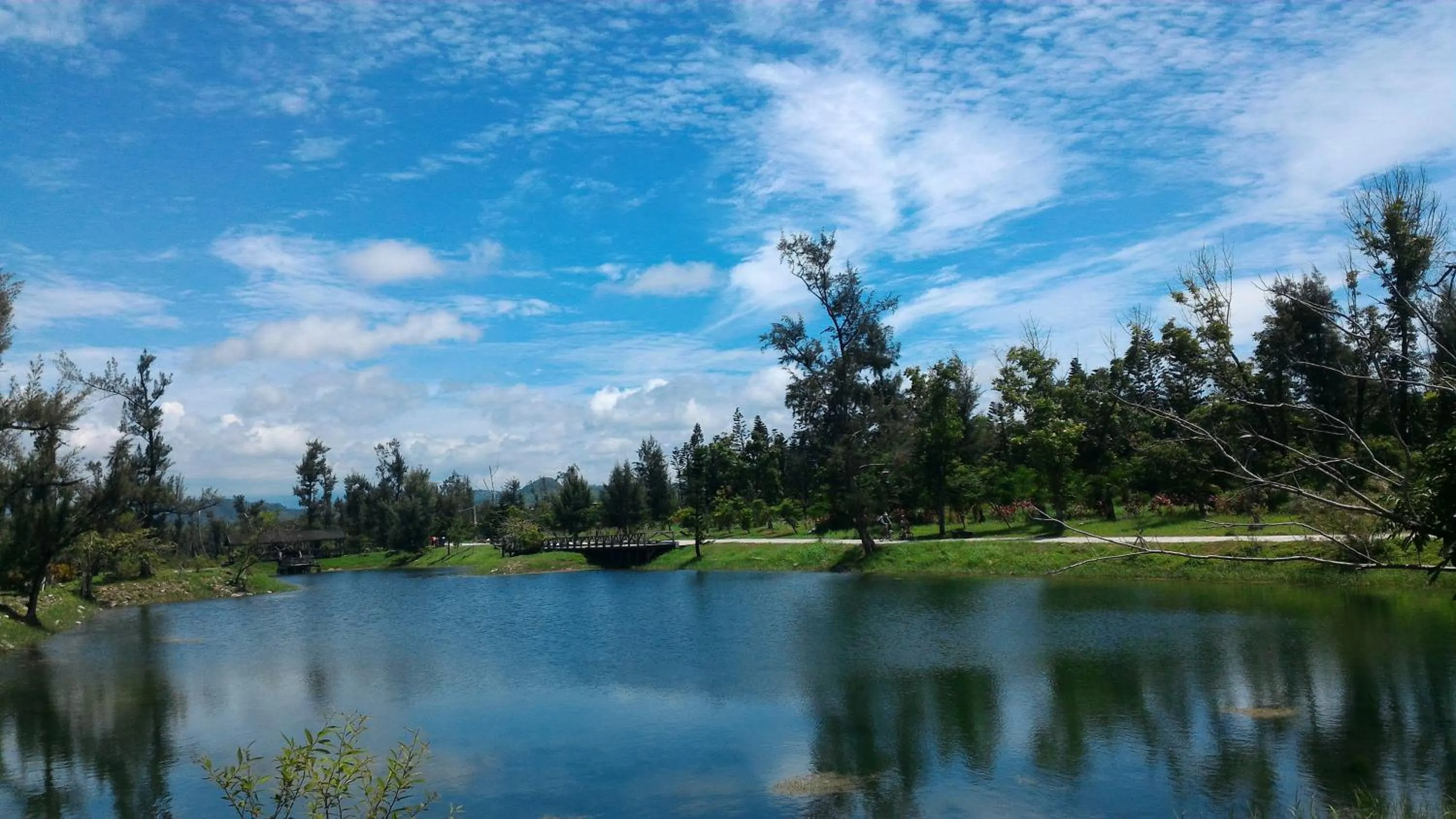 View (from property/room) in Success 66 B&B