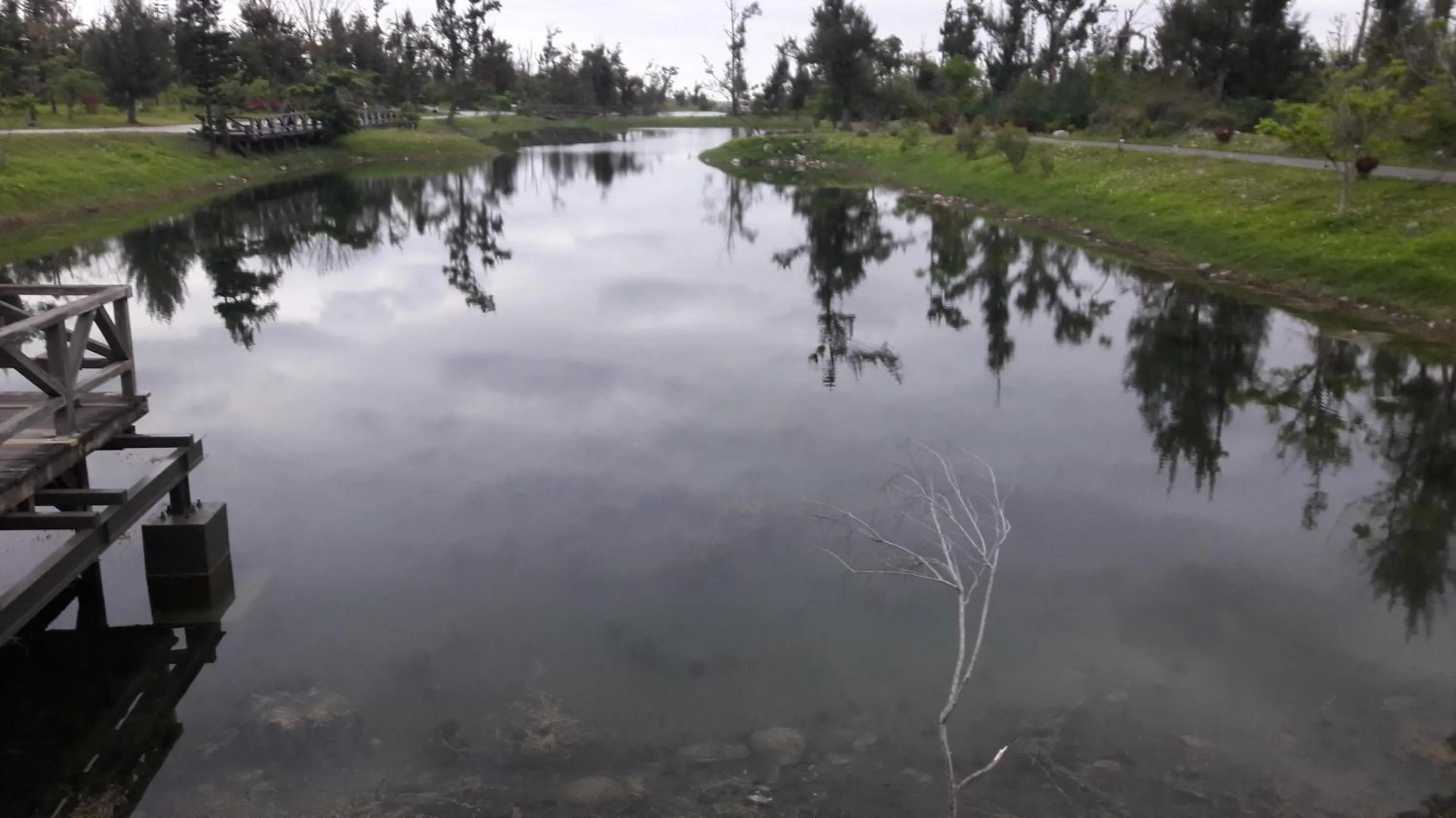 Natural landscape in Success 66 B&B