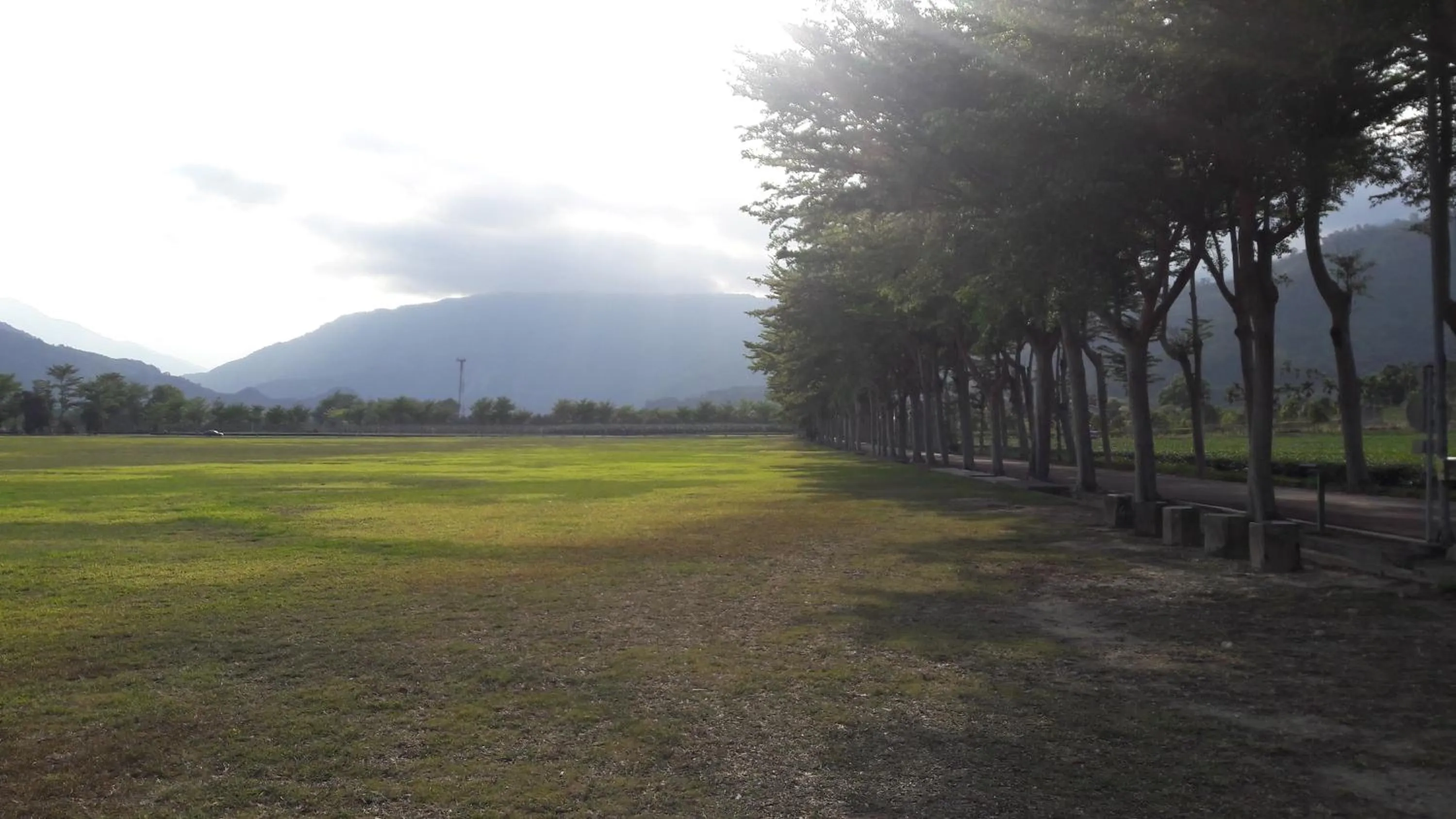 Activities in Success 66 B&B