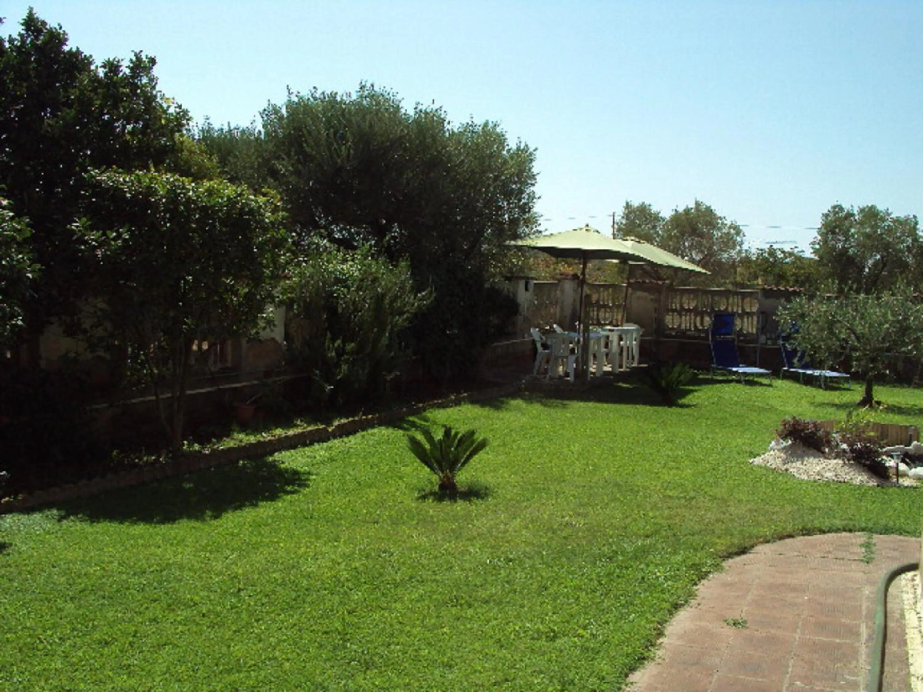 Garden view in B&B Casa degli Ulivi