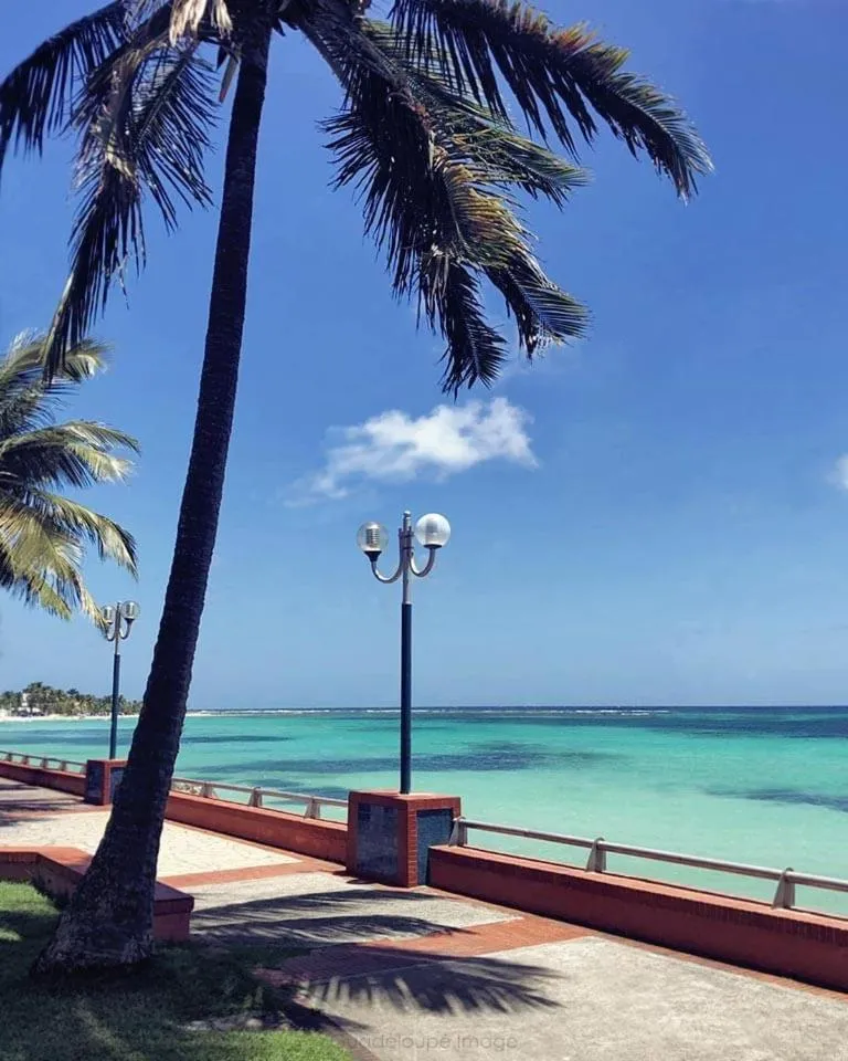 L'escale Tropicale