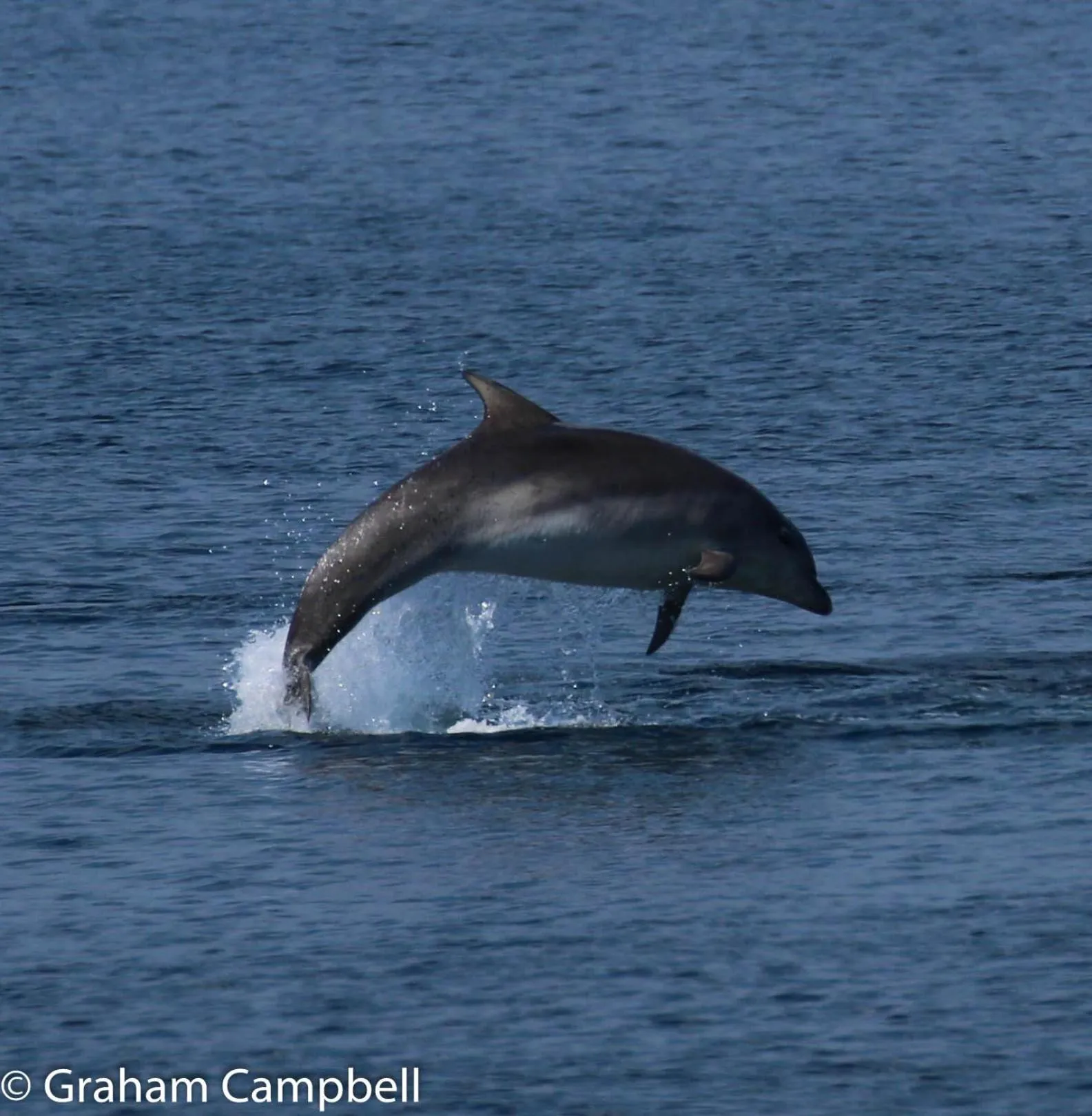 Beach in Kintrae B&B