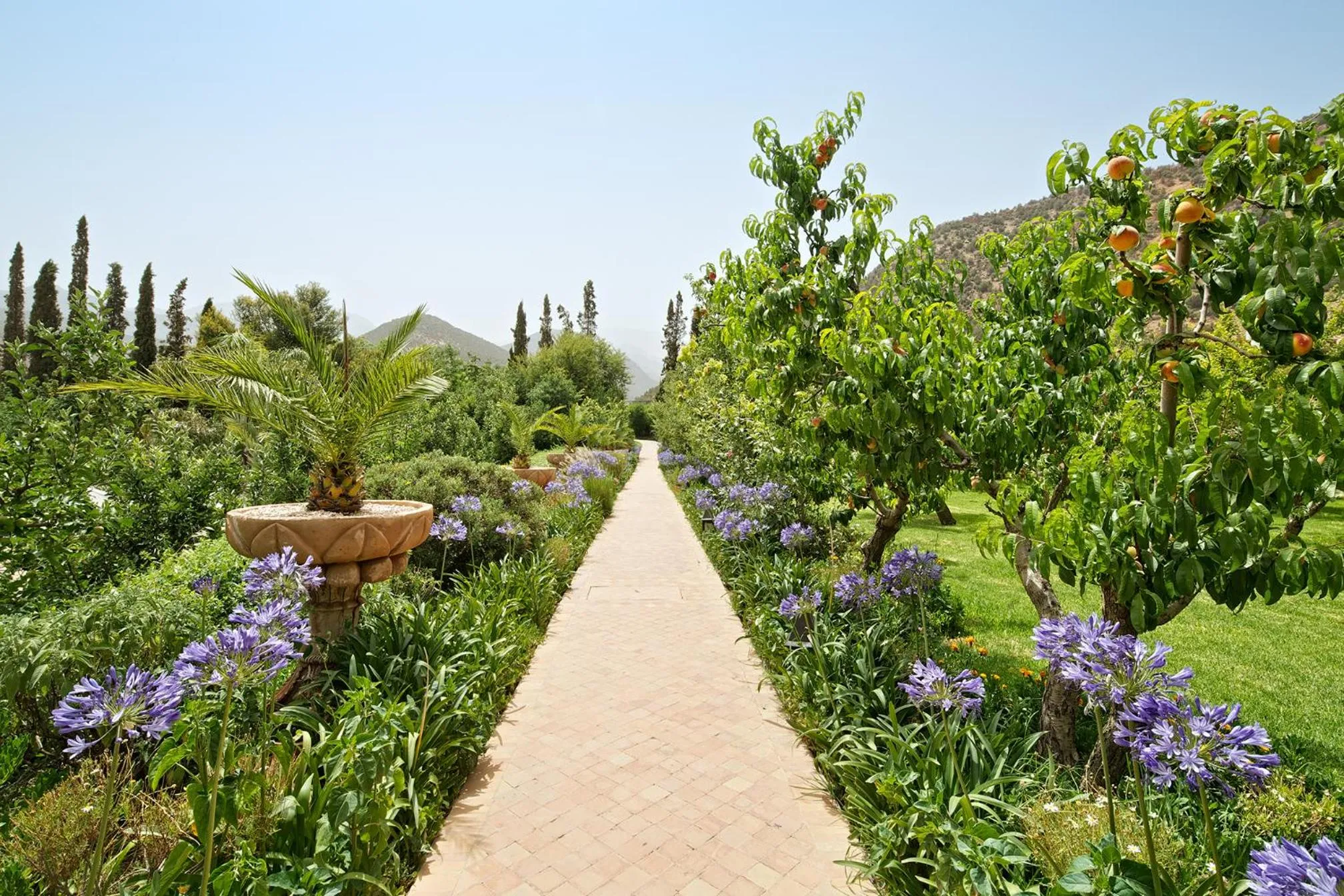 Garden in Kasbah Tamadot - Sir Richard Branson's Moroccan Retreat