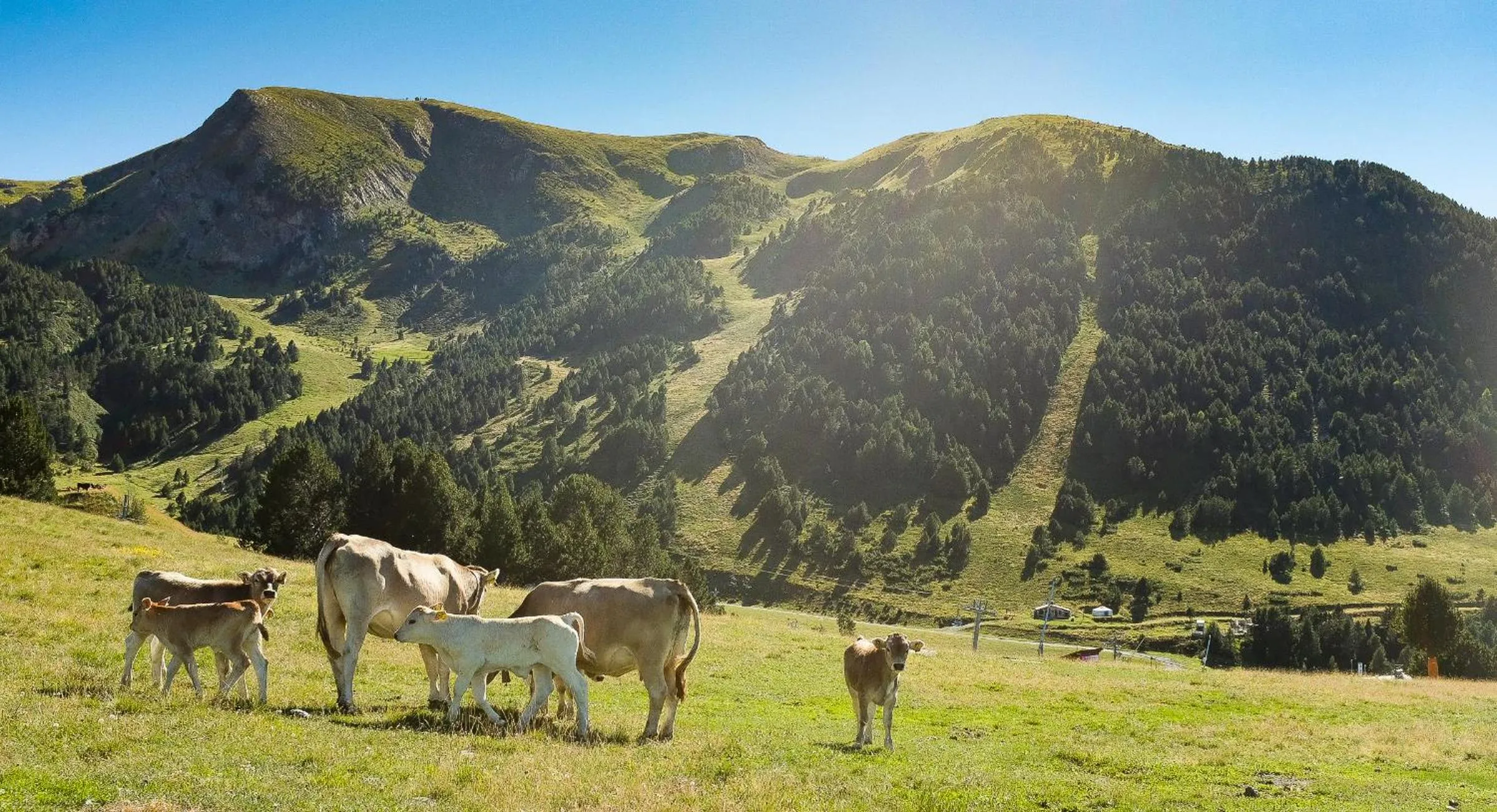 Off site in Hotel & SPA Llop Gris