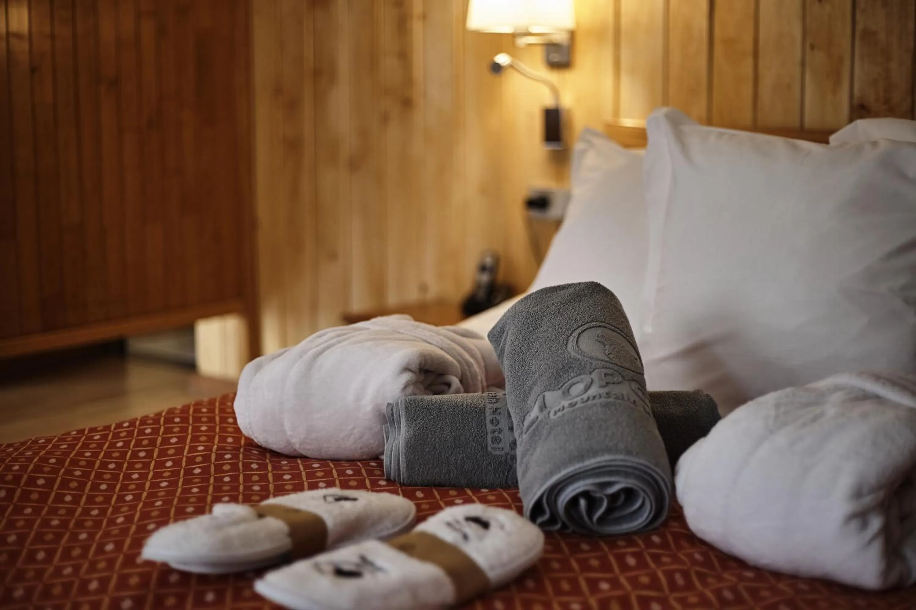 Bed in Hotel & SPA Llop Gris