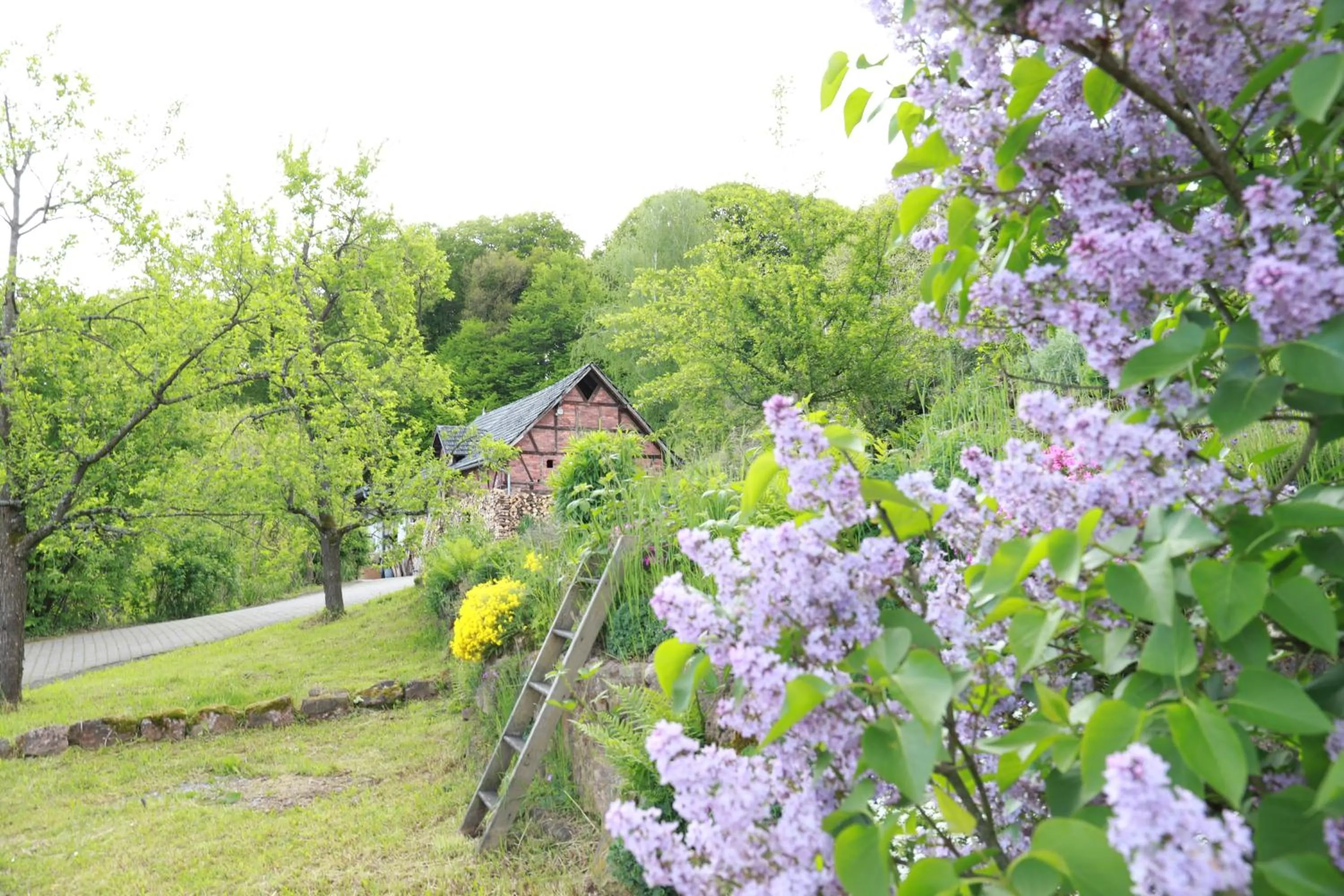Garden in Hofgut Langenborn Wohnen auf Zeit möblierte Apartments Aschaffenburg Alzenau Frankfurt