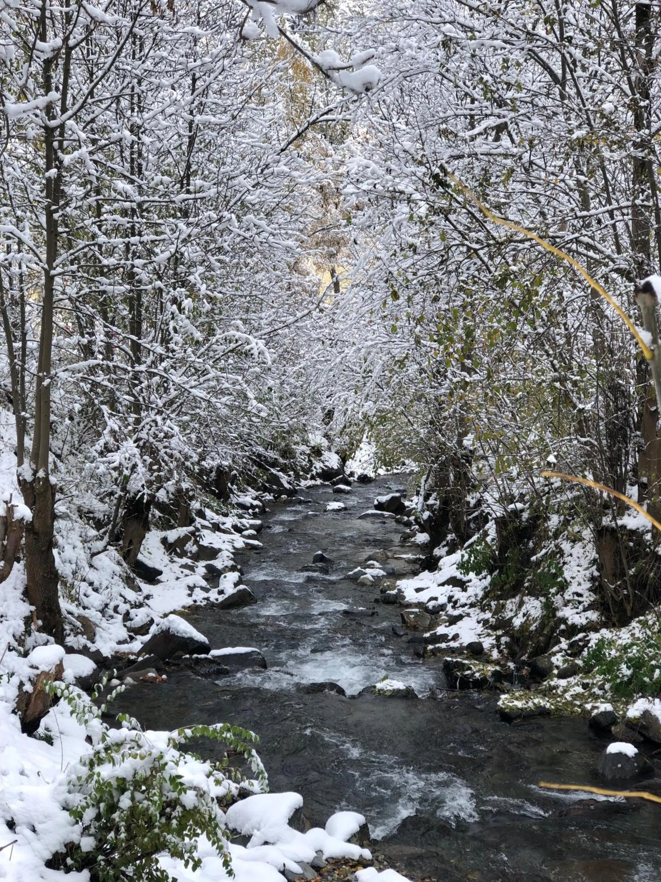Natural landscape in Hotel Palarine