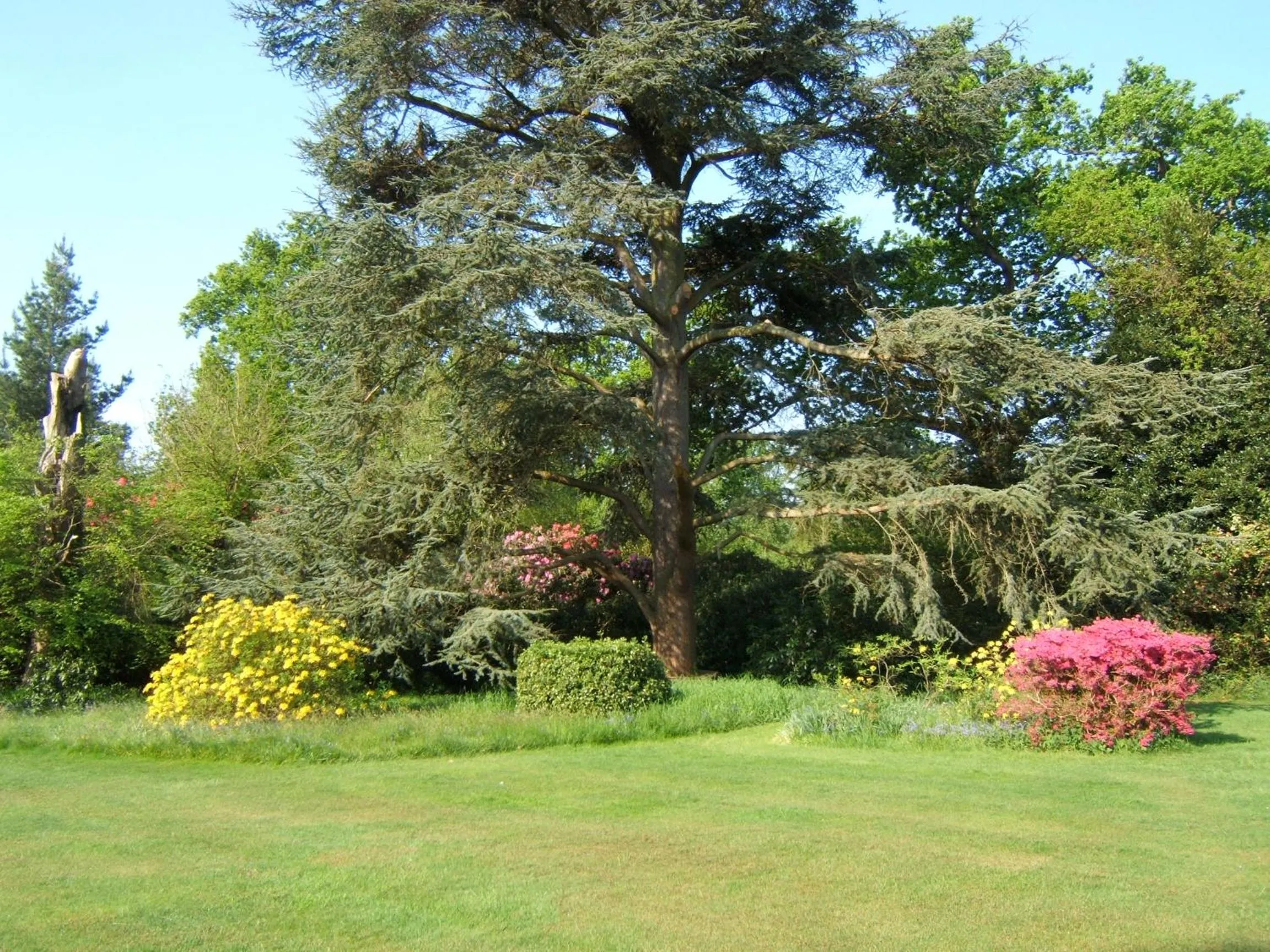 Garden in Hollybank House