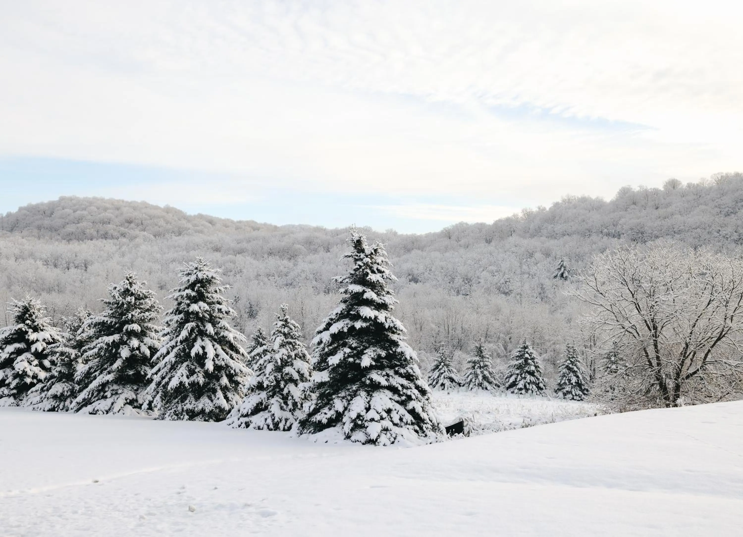 Natural landscape in Beatnik Hotel