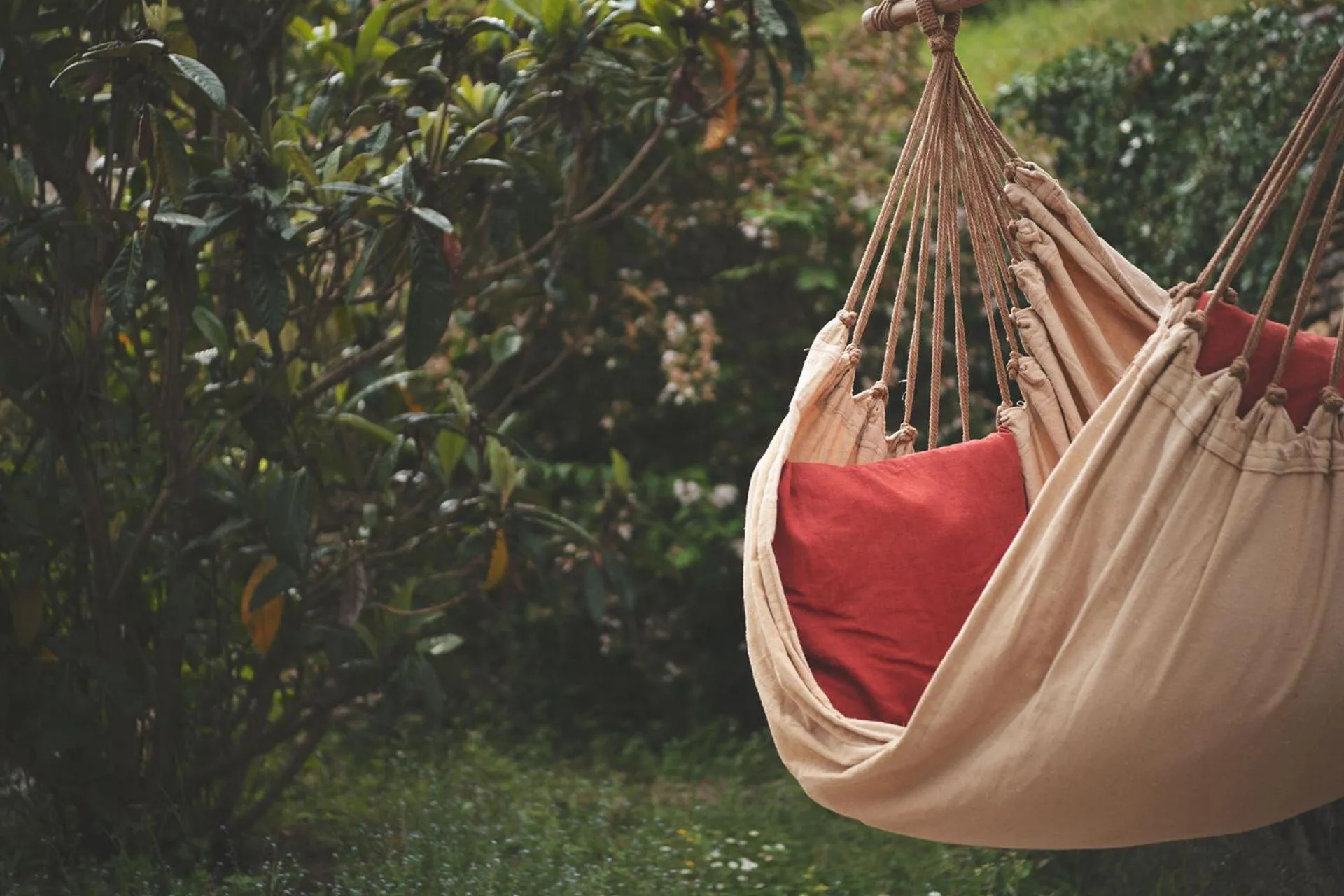 Garden in La Tour de Cause