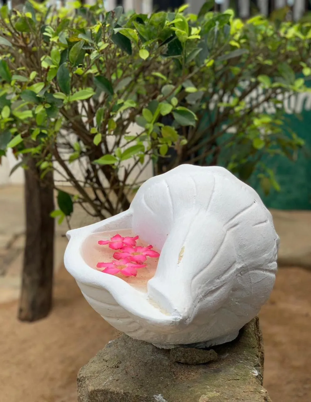 Garden in Janus Paradise Rest