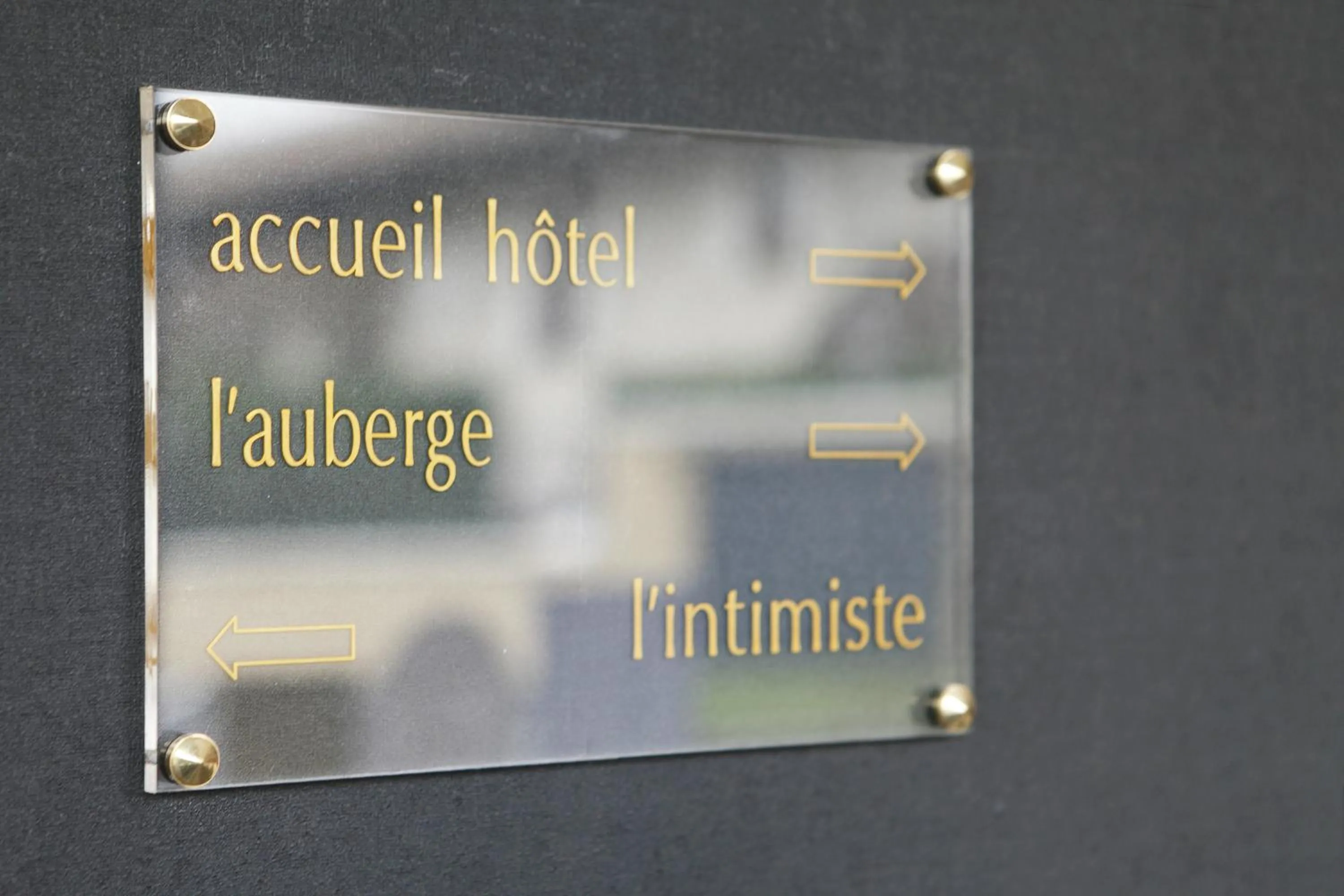 Lobby or reception in Auberge Bressane de Buellas