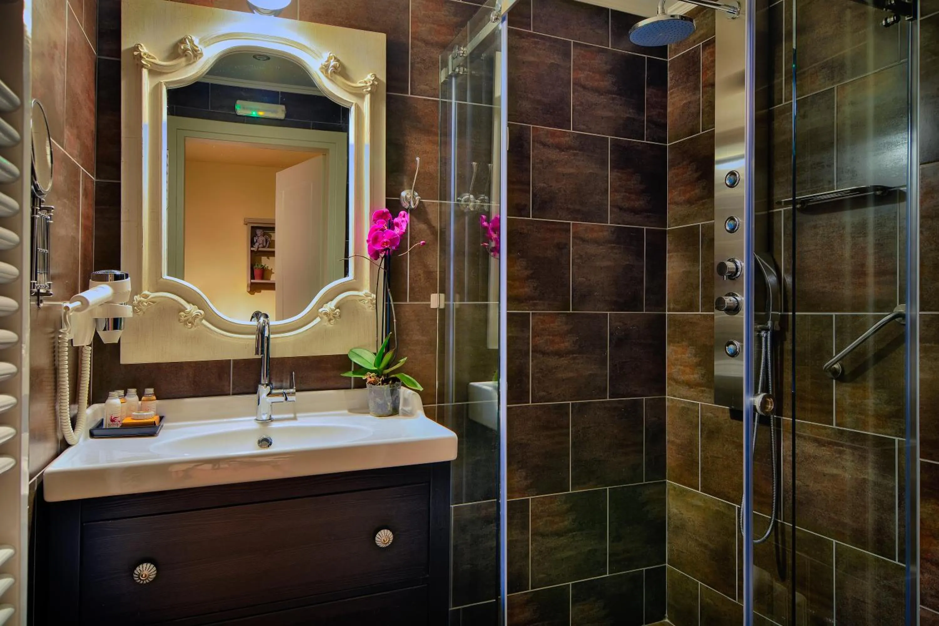 Shower in Hotel Antique