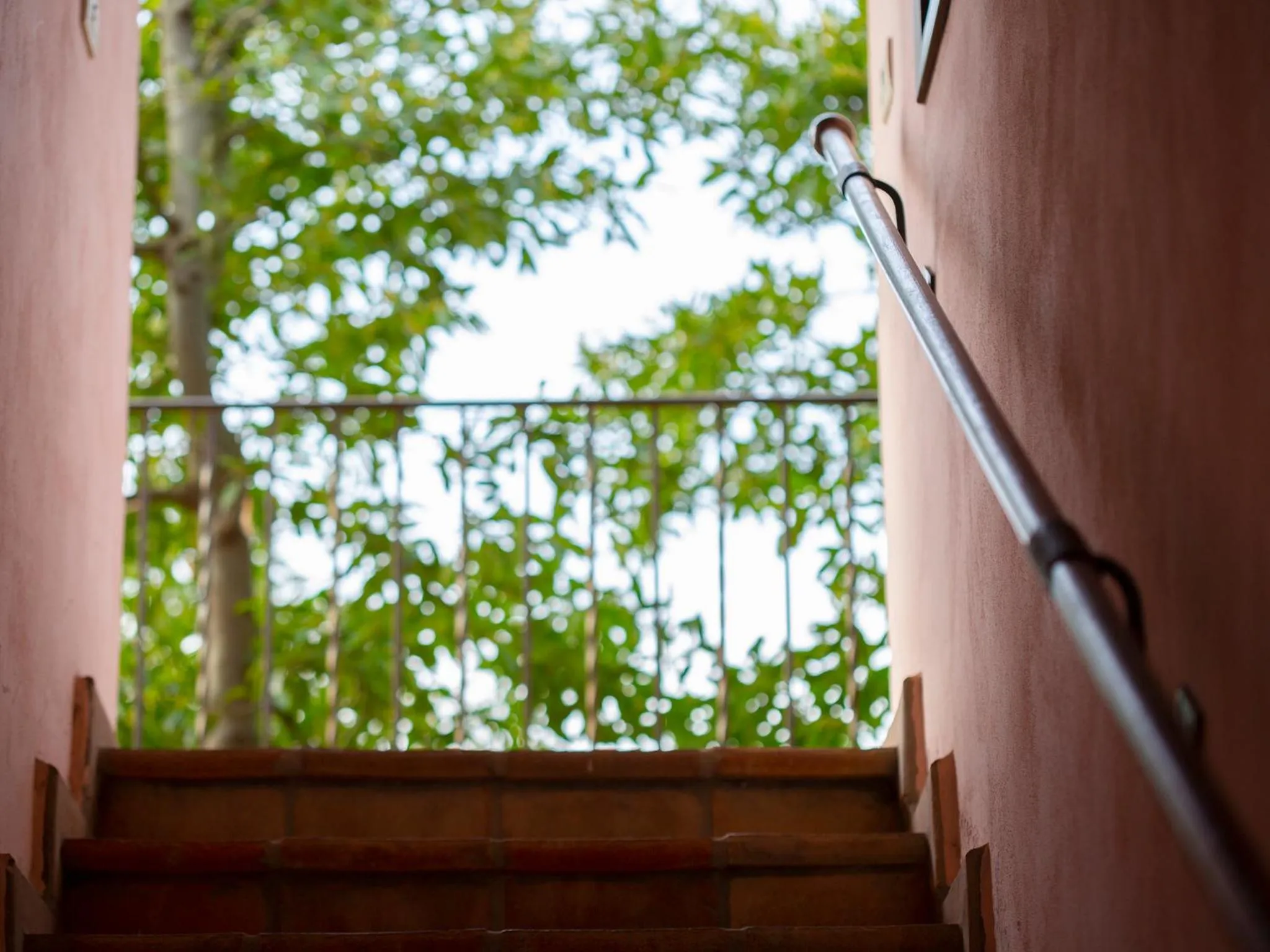 View (from property/room) in Al Guado di Assisi B&B