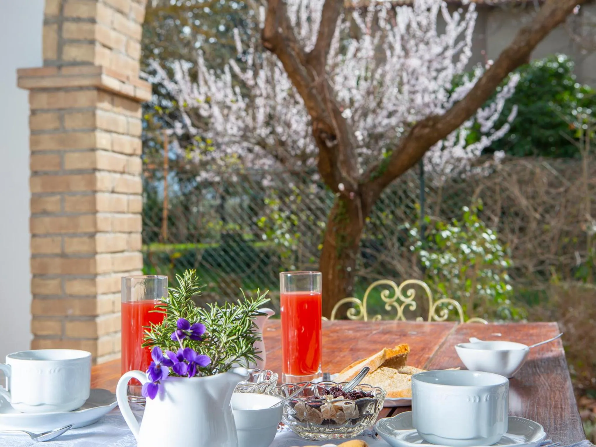 Garden in Al Guado di Assisi B&B