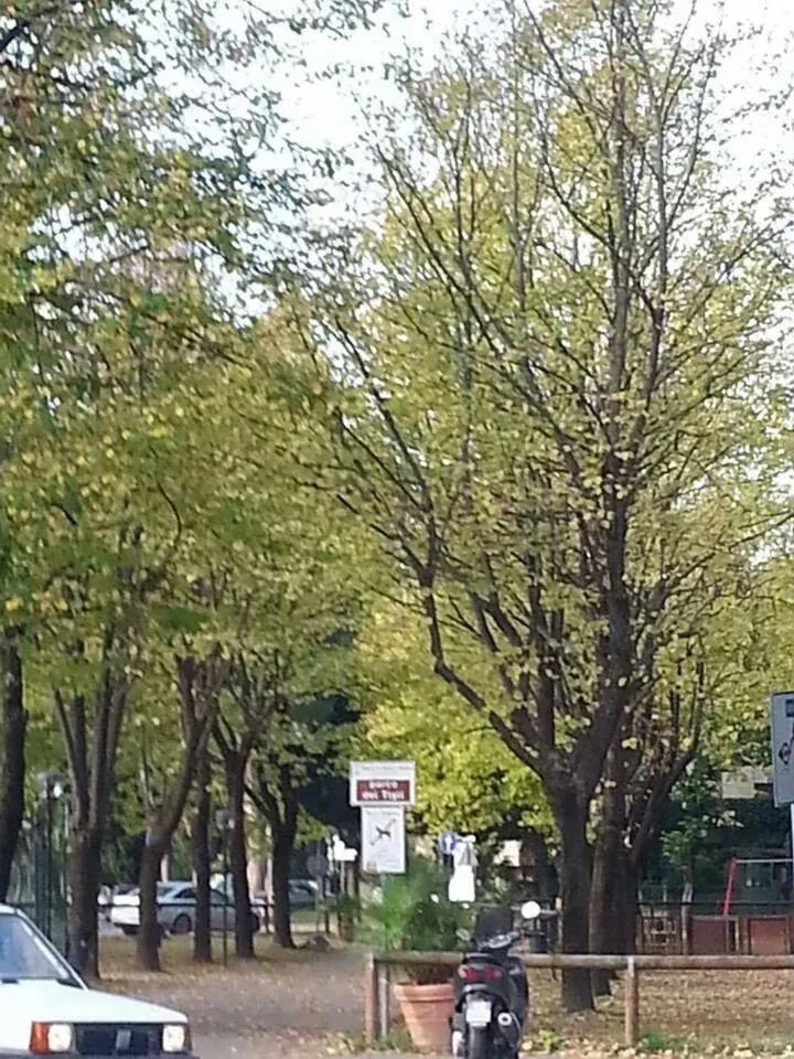 City view in A Casa Di Gabri