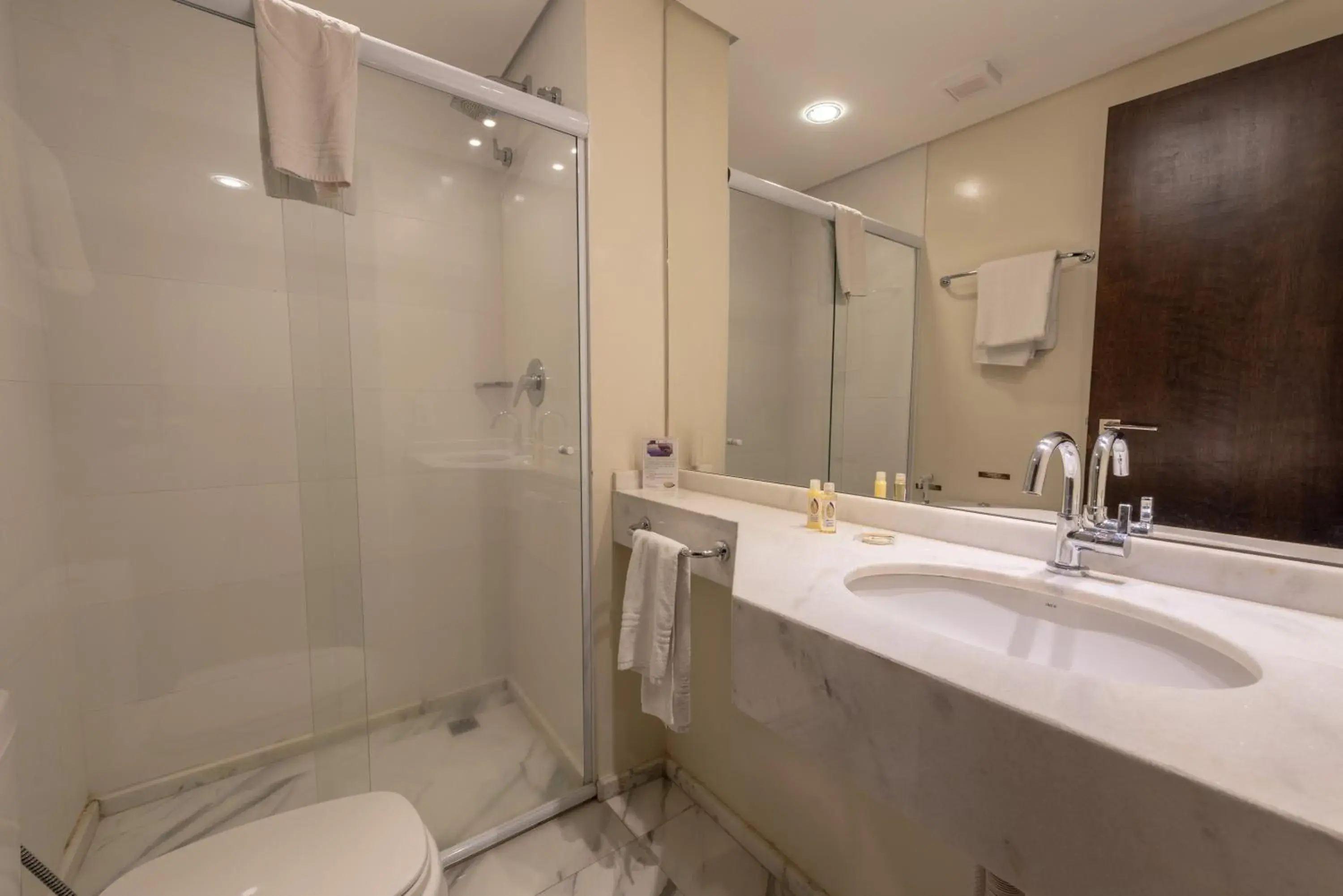 Twin Room with City View - single occupancy in Class Hotel Rio Claro Twin Room with City View - single occupancy in Class Hotel Rio Claro