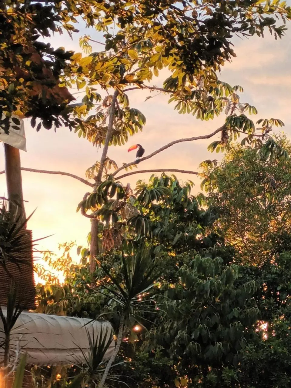 Natural landscape in Chalés Alto Da Estância