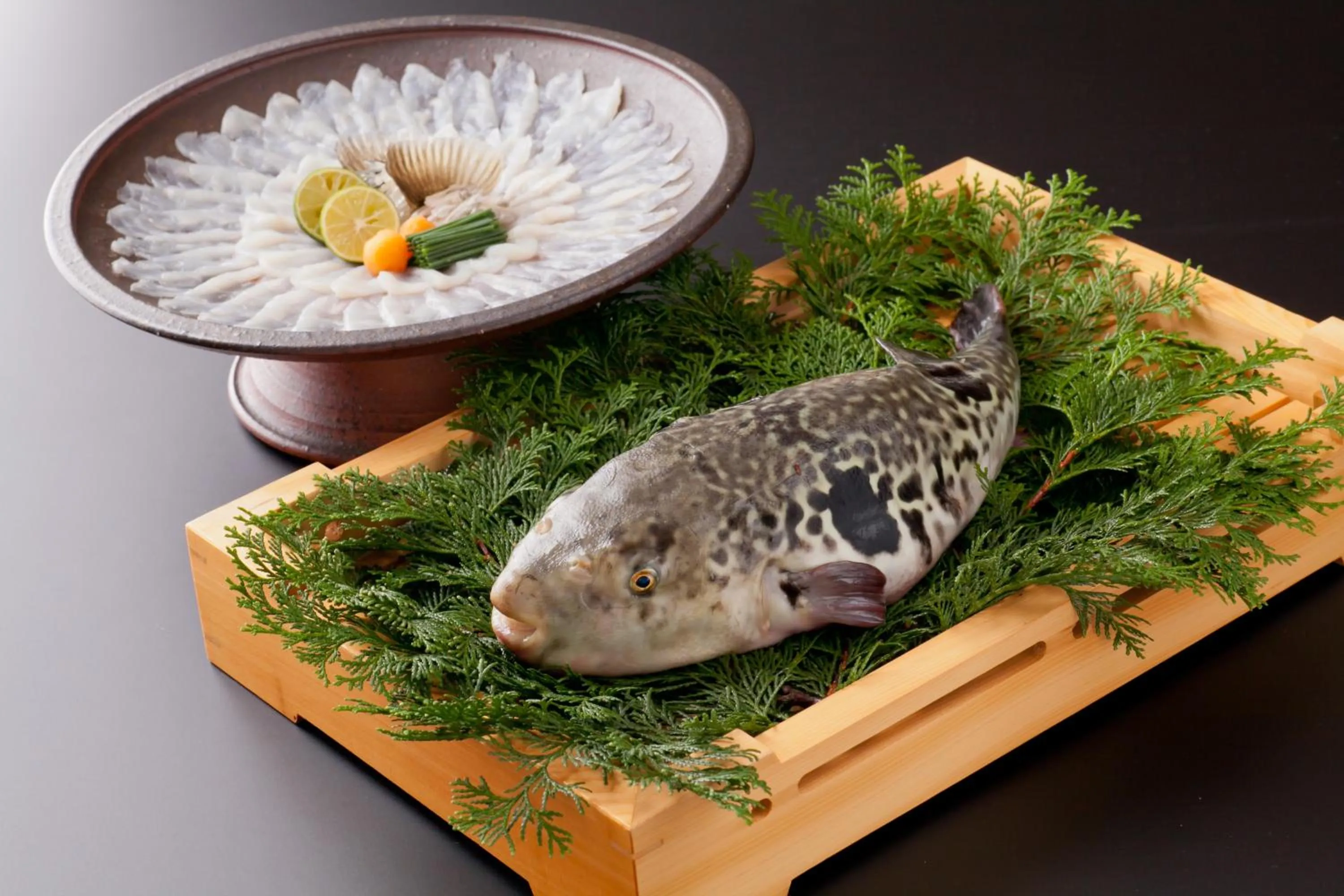 Food close-up in UNZEN HANZUIRYO by Onko Chishin