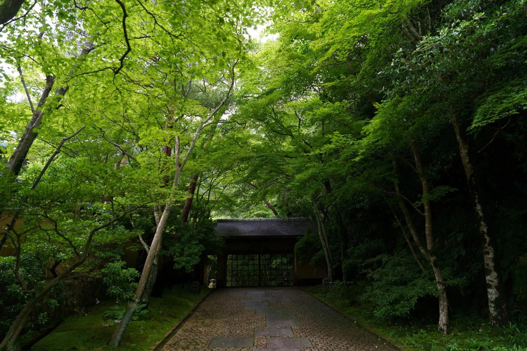 Property building in UNZEN HANZUIRYO by Onko Chishin