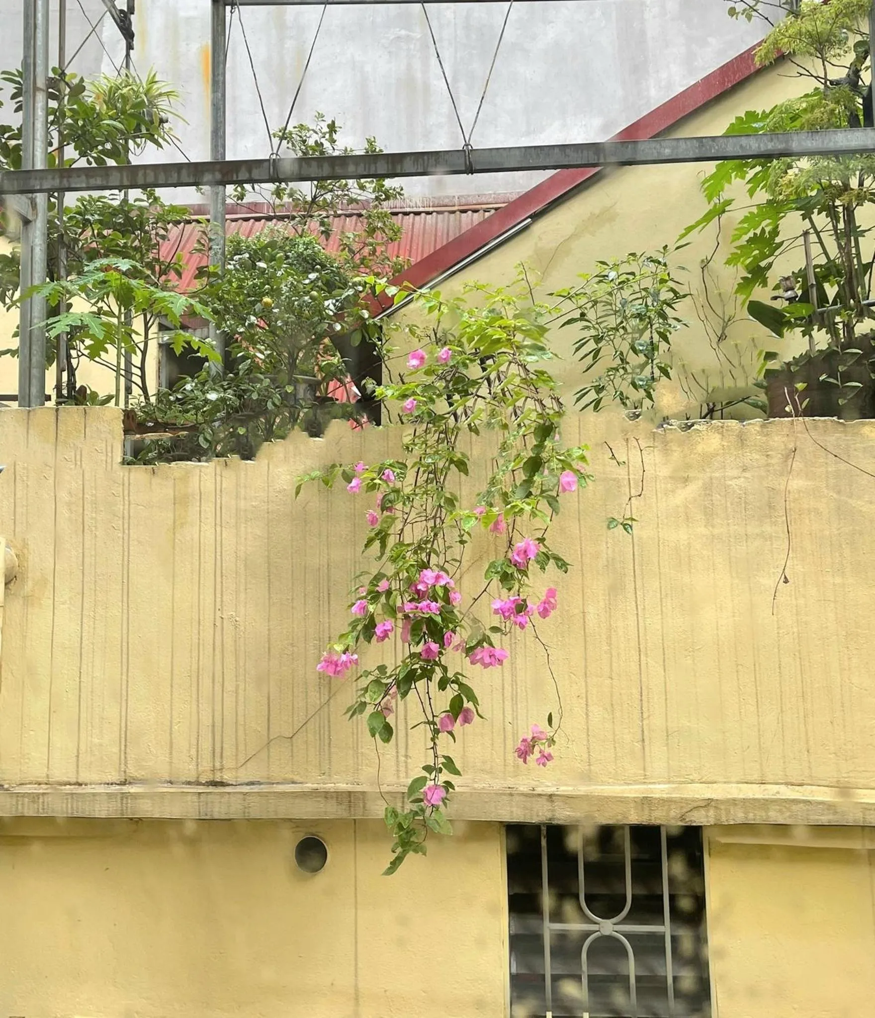 View (from property/room) in Golden Moon Suite Hotel & Travel