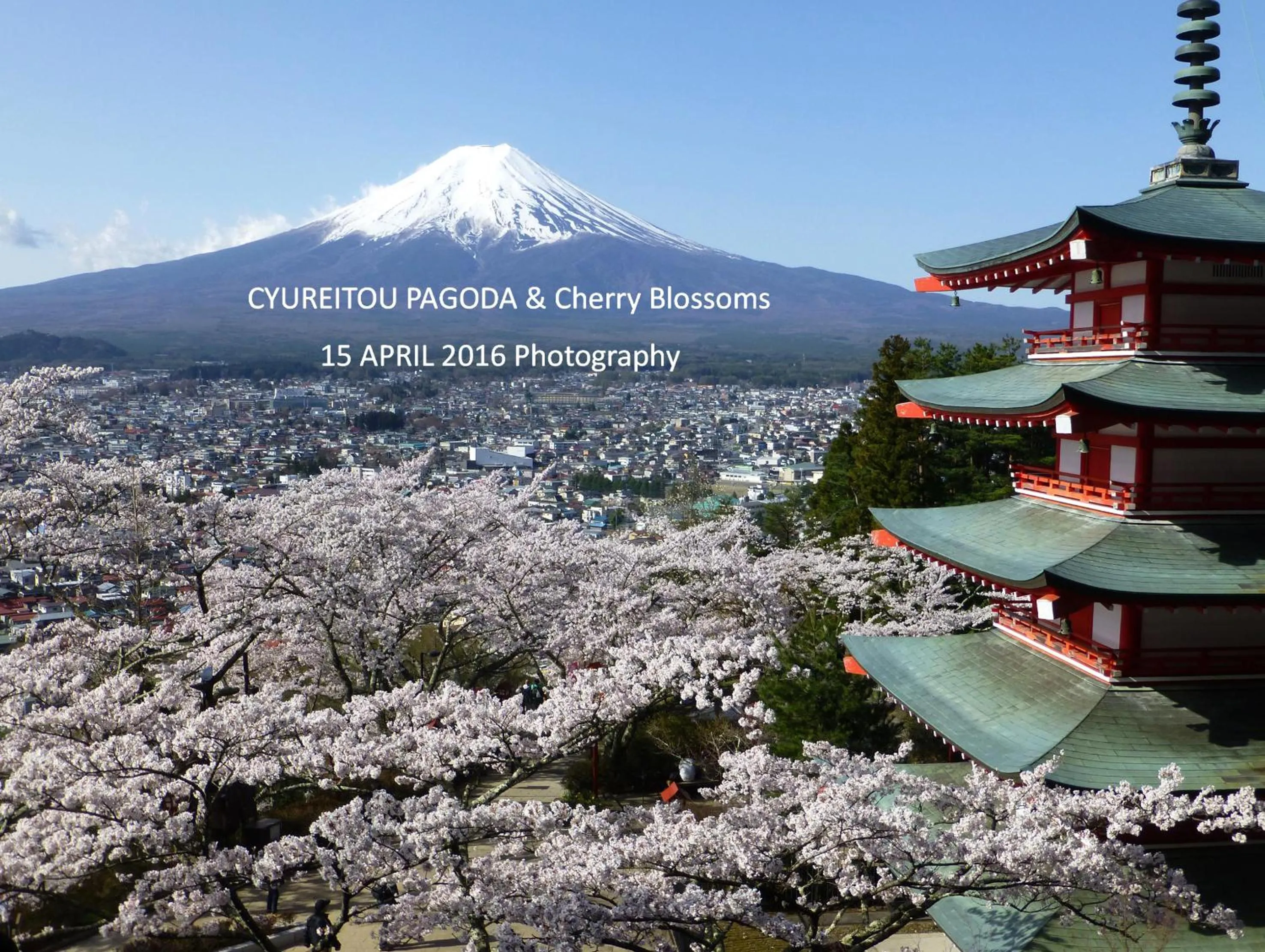 Nearby landmark in Kawaguchiko Lakeside Hotel