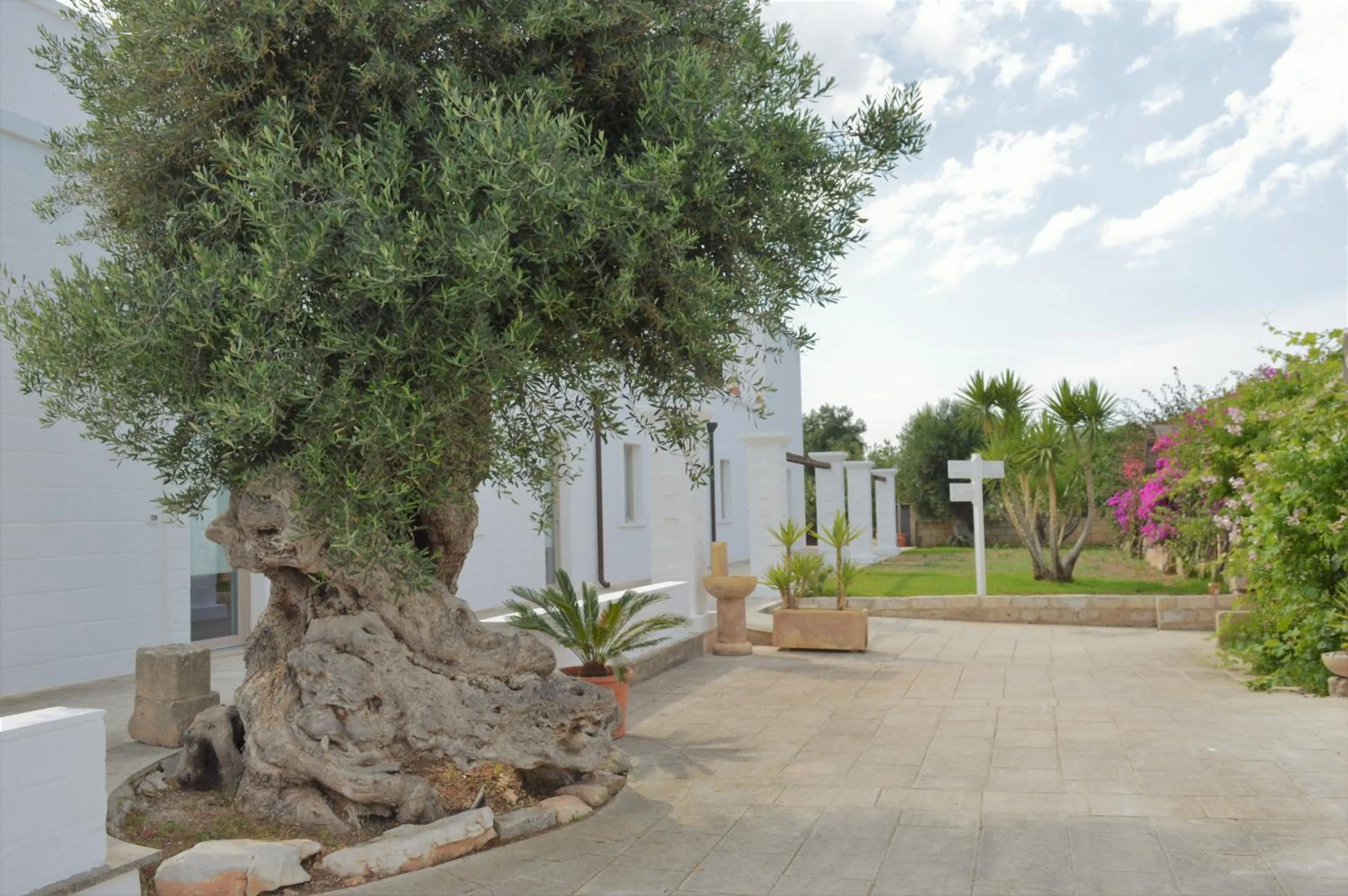 Property building in Masseria Torrepietra