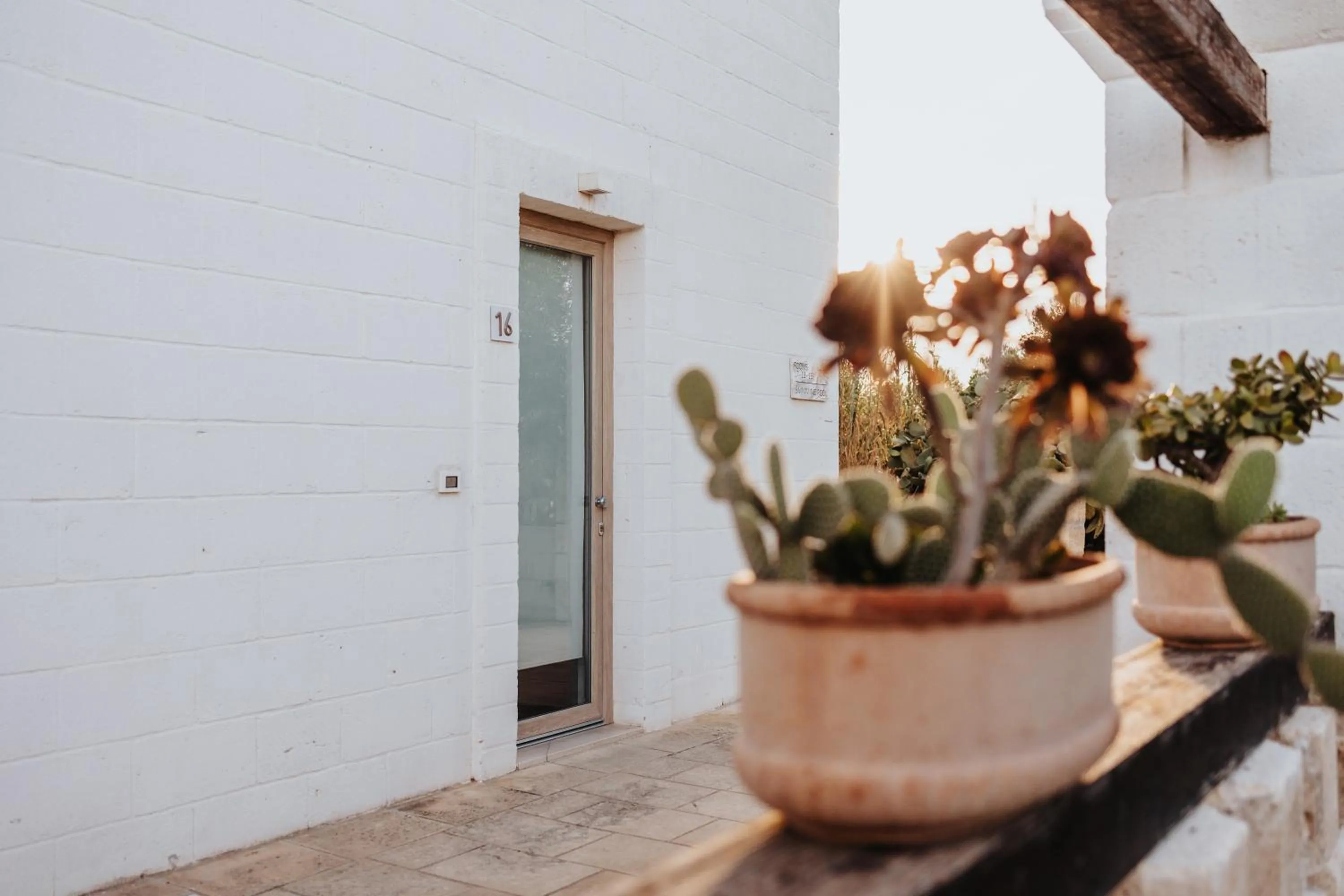 Property building in Masseria Torrepietra