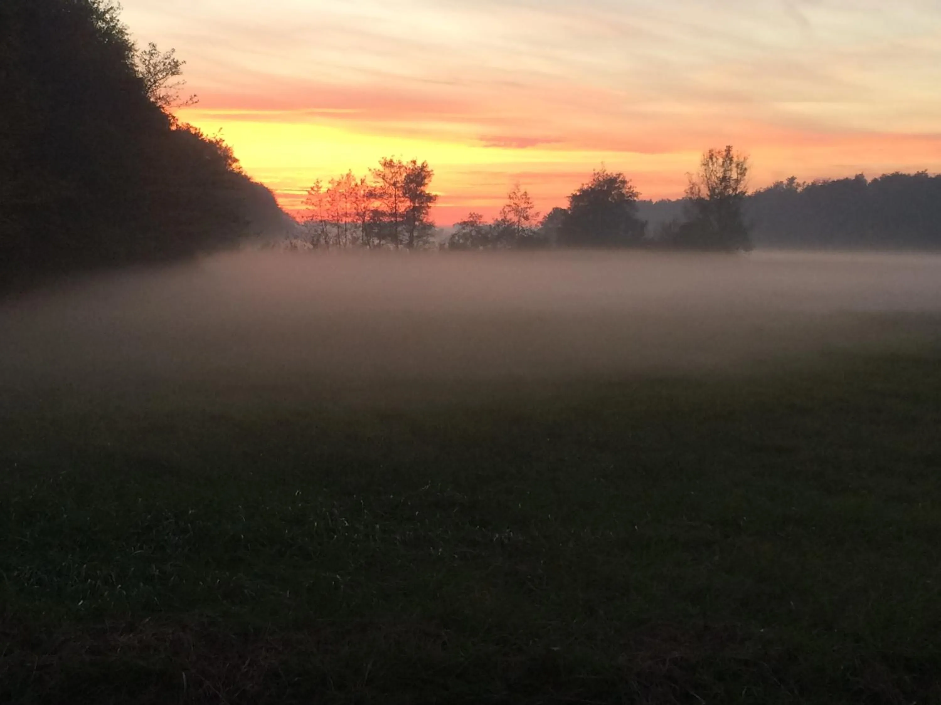 Neighbourhood in Het Koetshuis