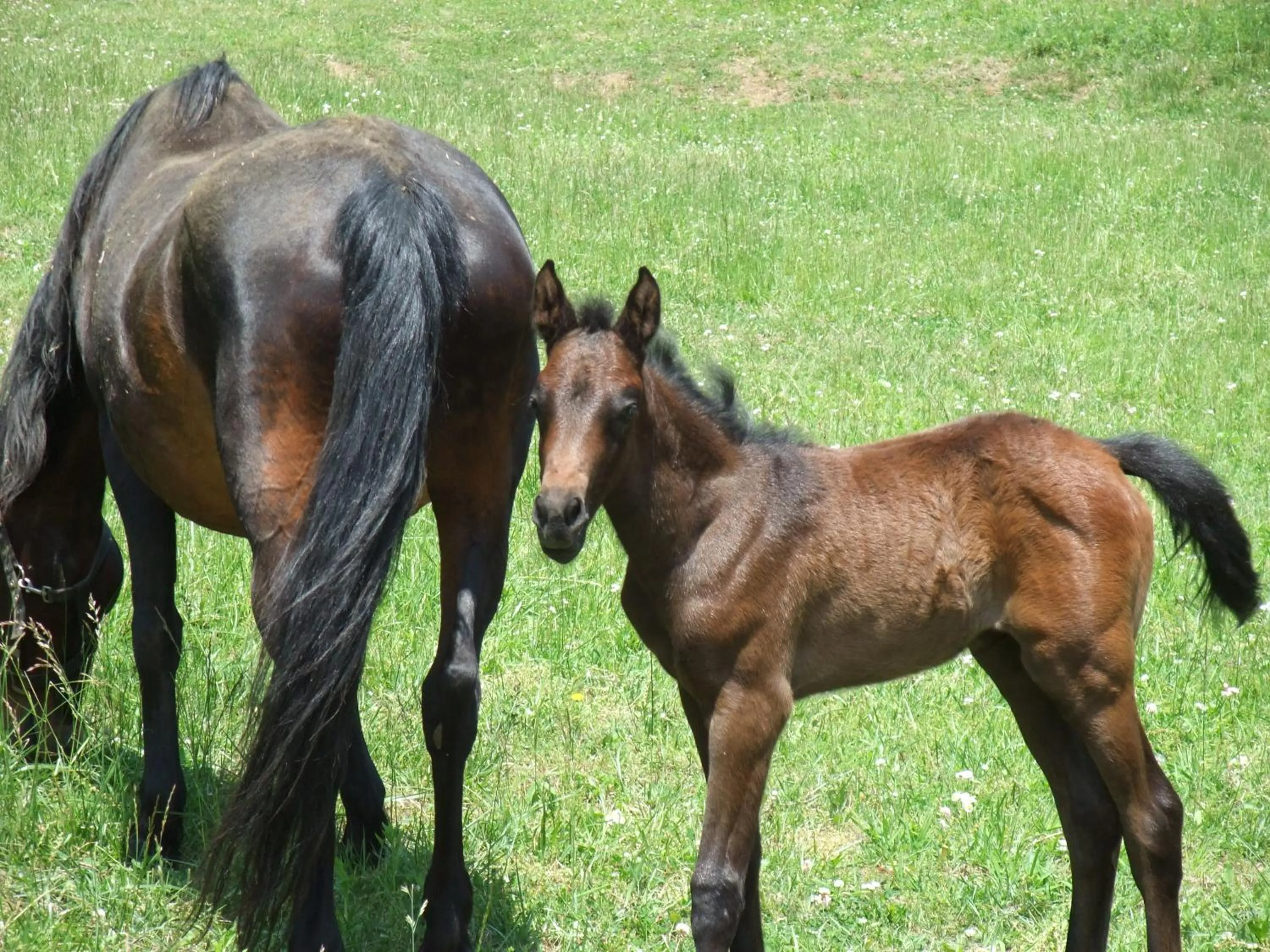 Off site in Gasthof Ascot